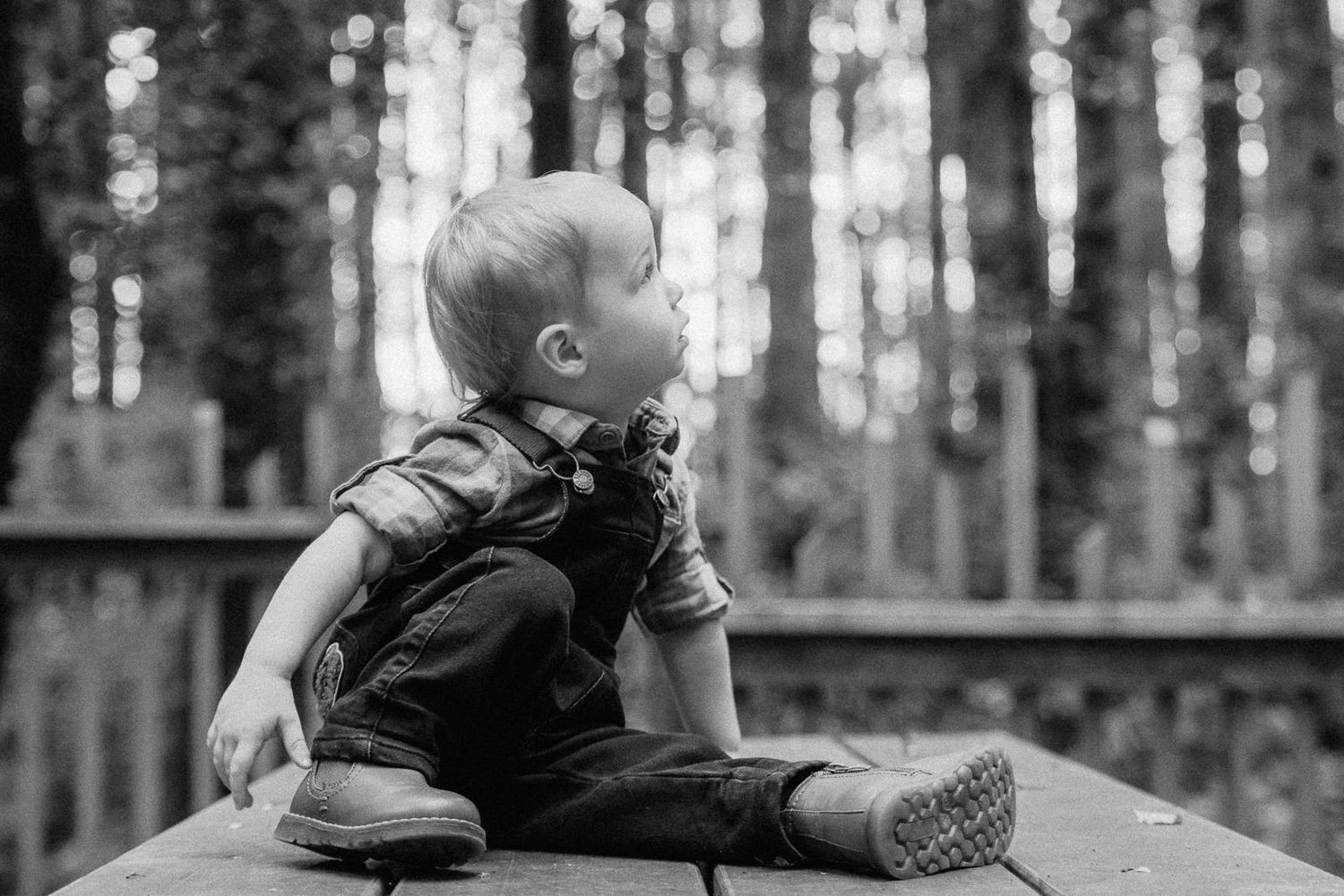 Black and white photo of a curious toddler sitting on a wooden deck surrounded by tall trees in a forest.