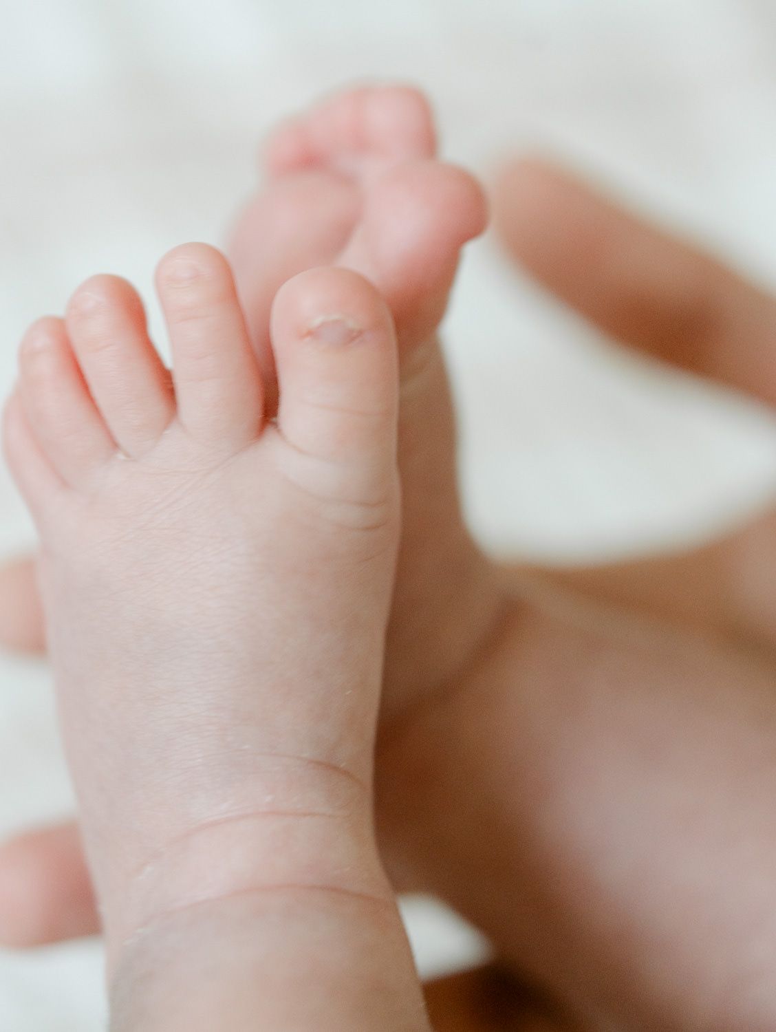 Macro close-up of newborn baby's tiny feet and toes on soft white background.