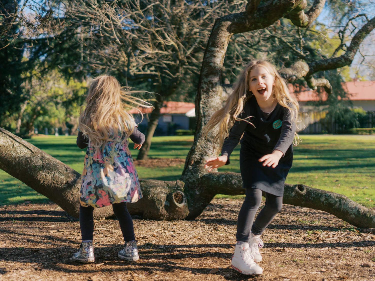 Two girls playing on a fallen tree branch in a sunny park, laughing and having fun outdoors.