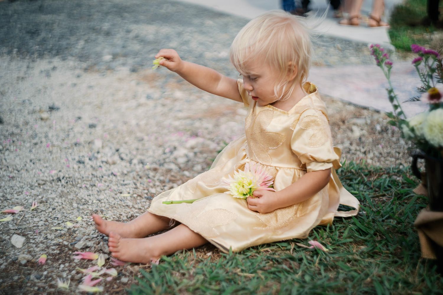 Toddler girl in yellow dress sitting on gravel, holding pink flower and reaching out her hand.