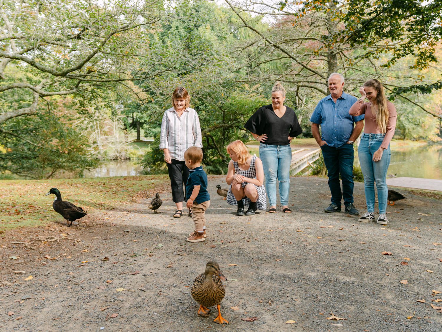 Family feeding ducks in a lush park near a pond, with adults and children enjoying nature together on a sunny day.