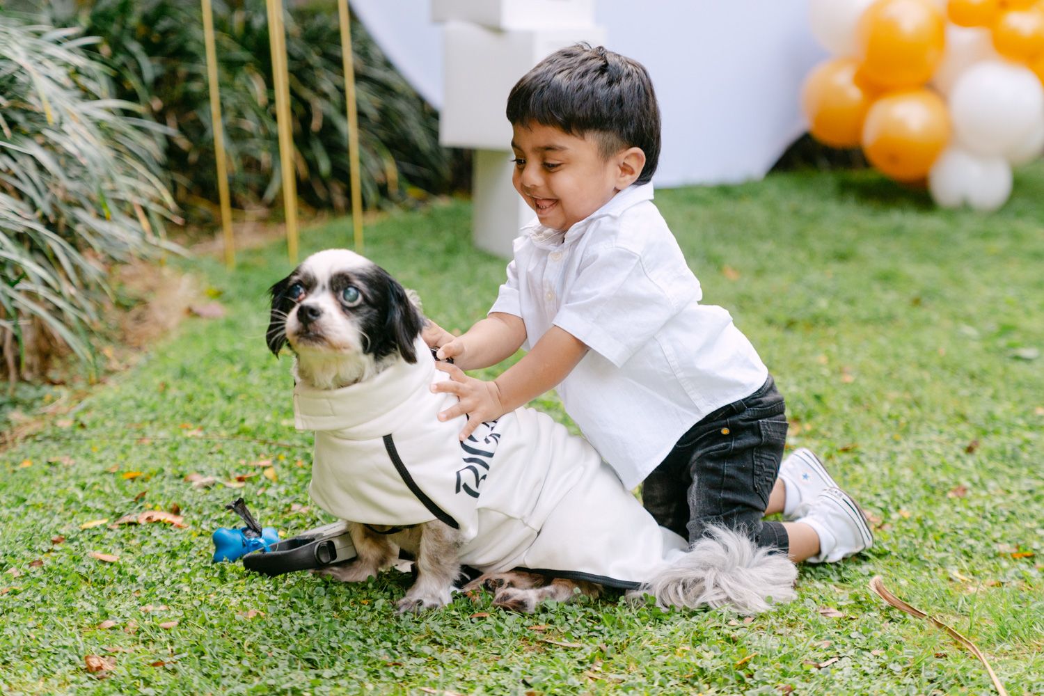A young boy in a white shirt smiles while petting a dressed-up dog on green grass at an outdoor party.