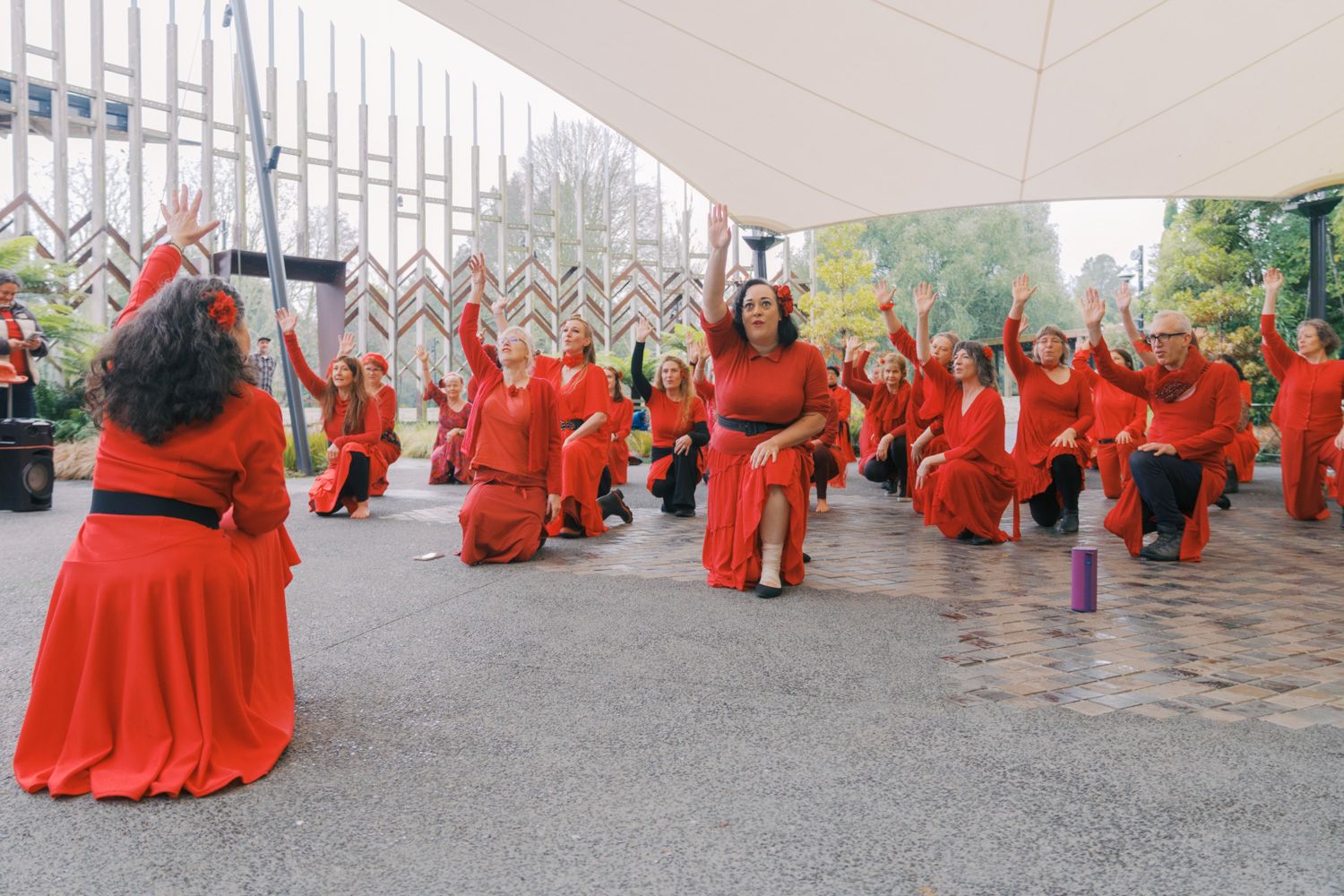 Women in red dresses perform a synchronized dance outdoors under a canopy.