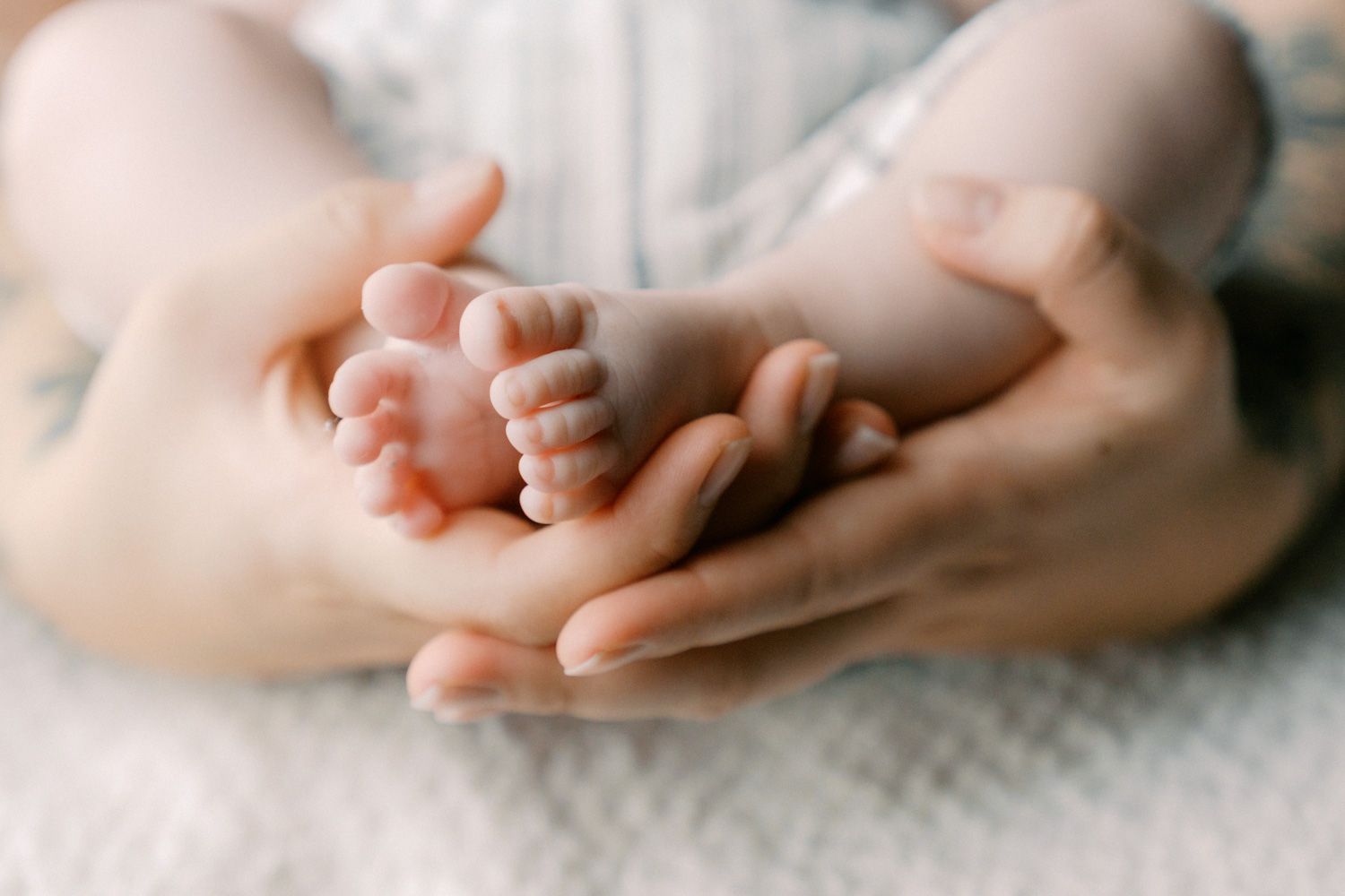 Close-up of a parent's hands gently cradling tiny newborn baby feet on a soft white blanket.