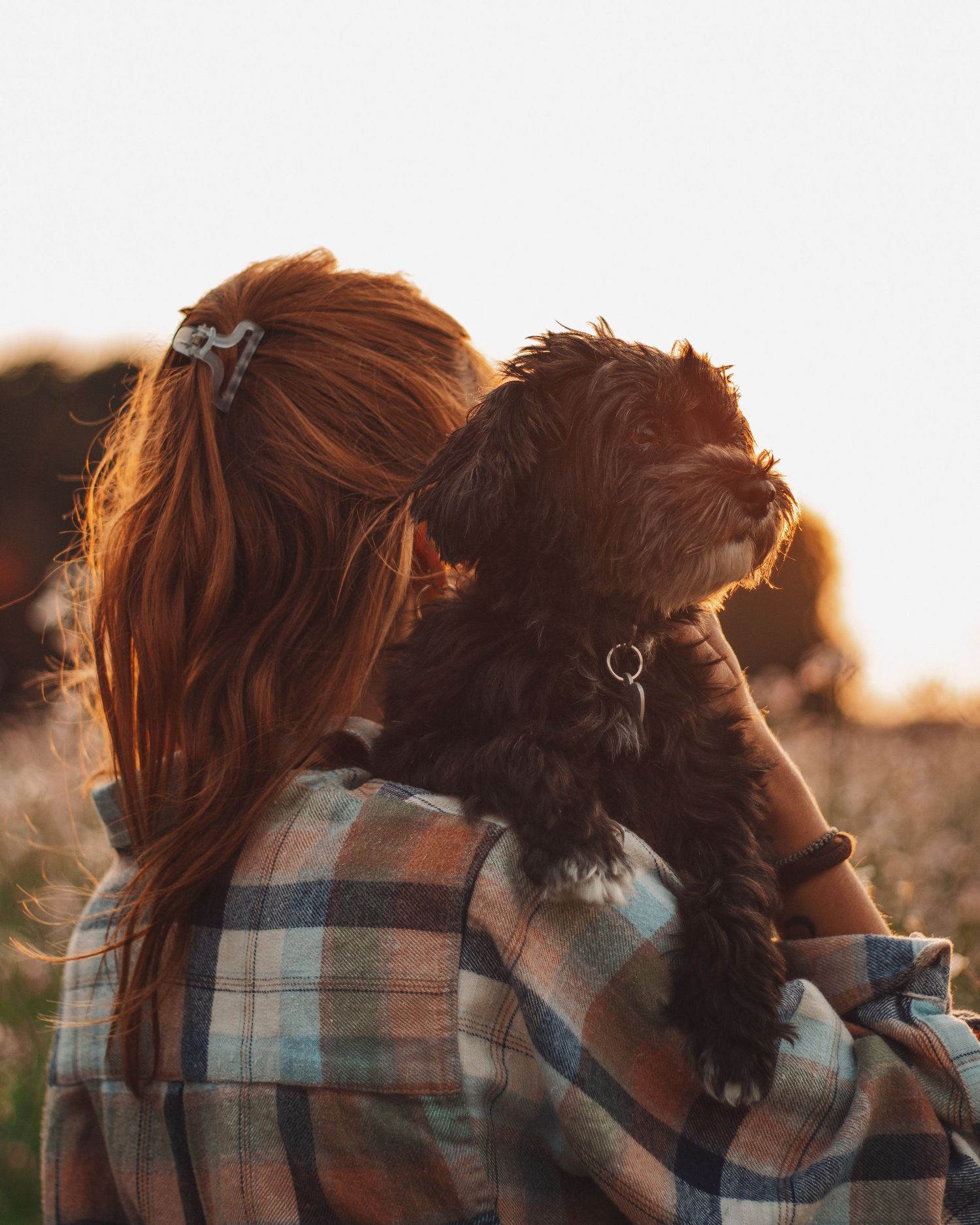 Hochauflösendes Foto von Frau mit kleinem Hund