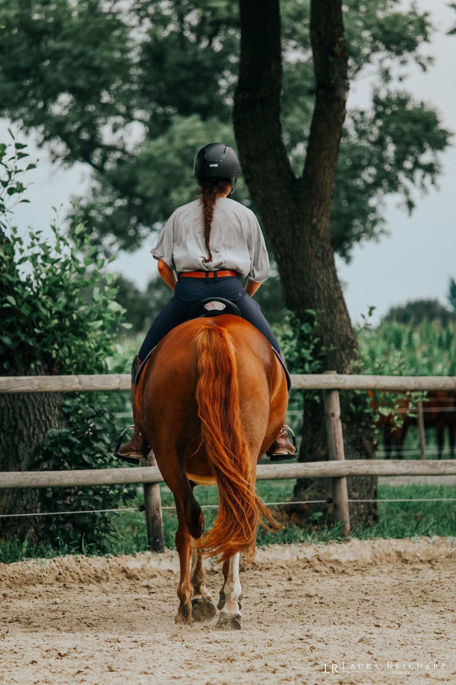 Reiter / Reiterin mit Pferd auf dem Reitplatz während sie reitet.
