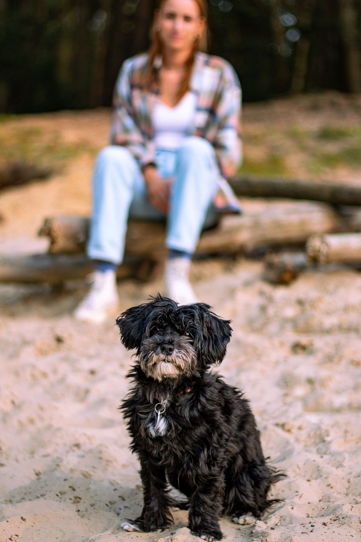 Hundeshooting - Junge Frau mit ihrem Hund im Sand.