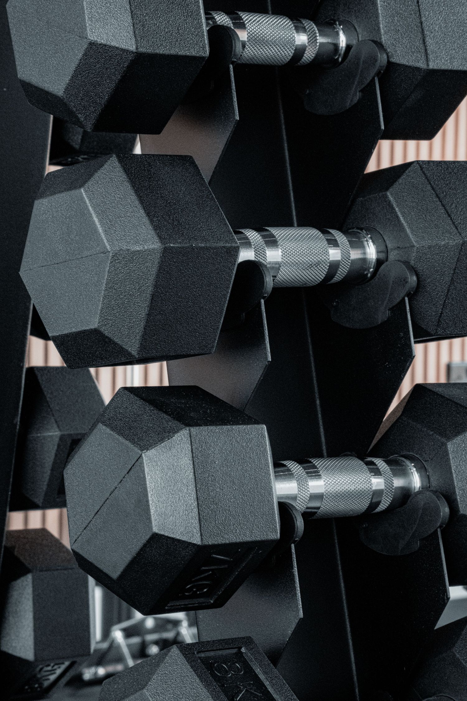 Stylish shot of free weights in a gym