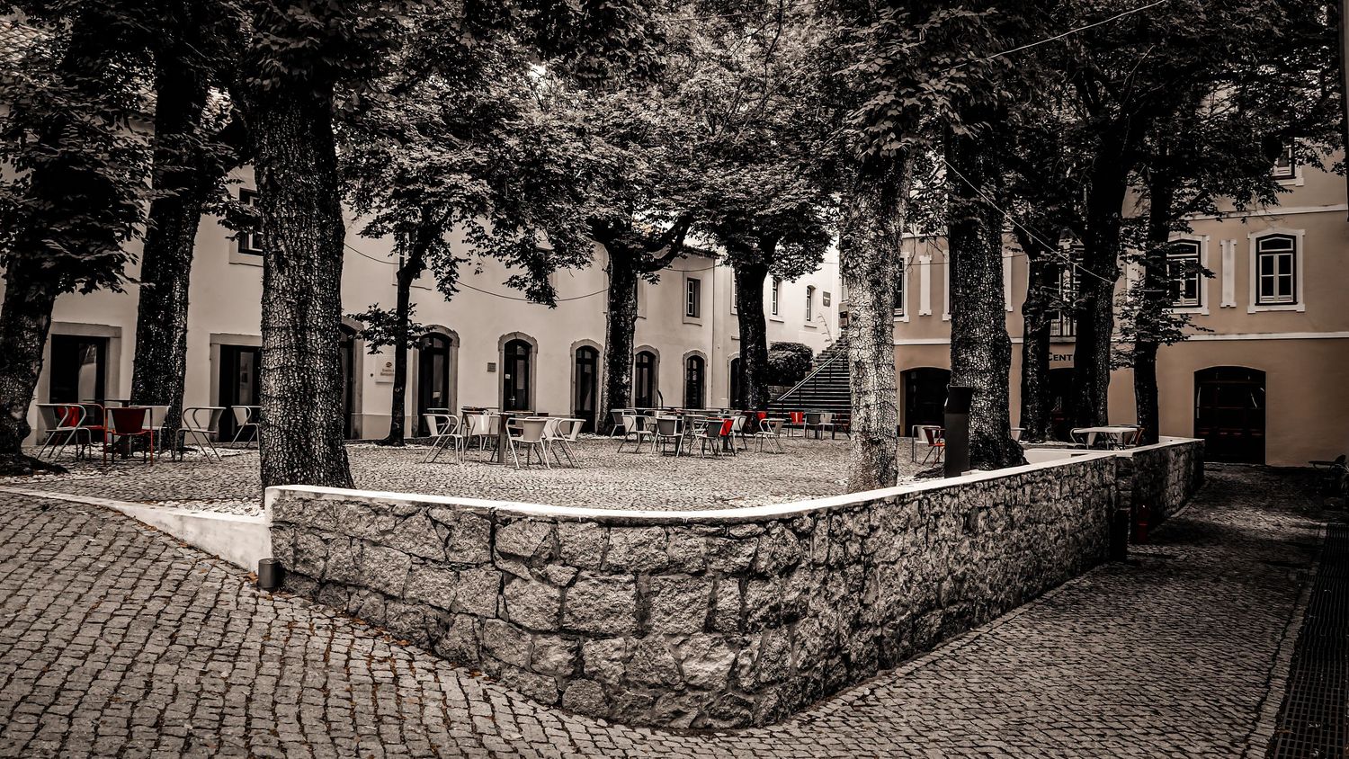 Black and white photograph of an empty tree-lined patio in Portugal featuring selective color red chairs and tables.