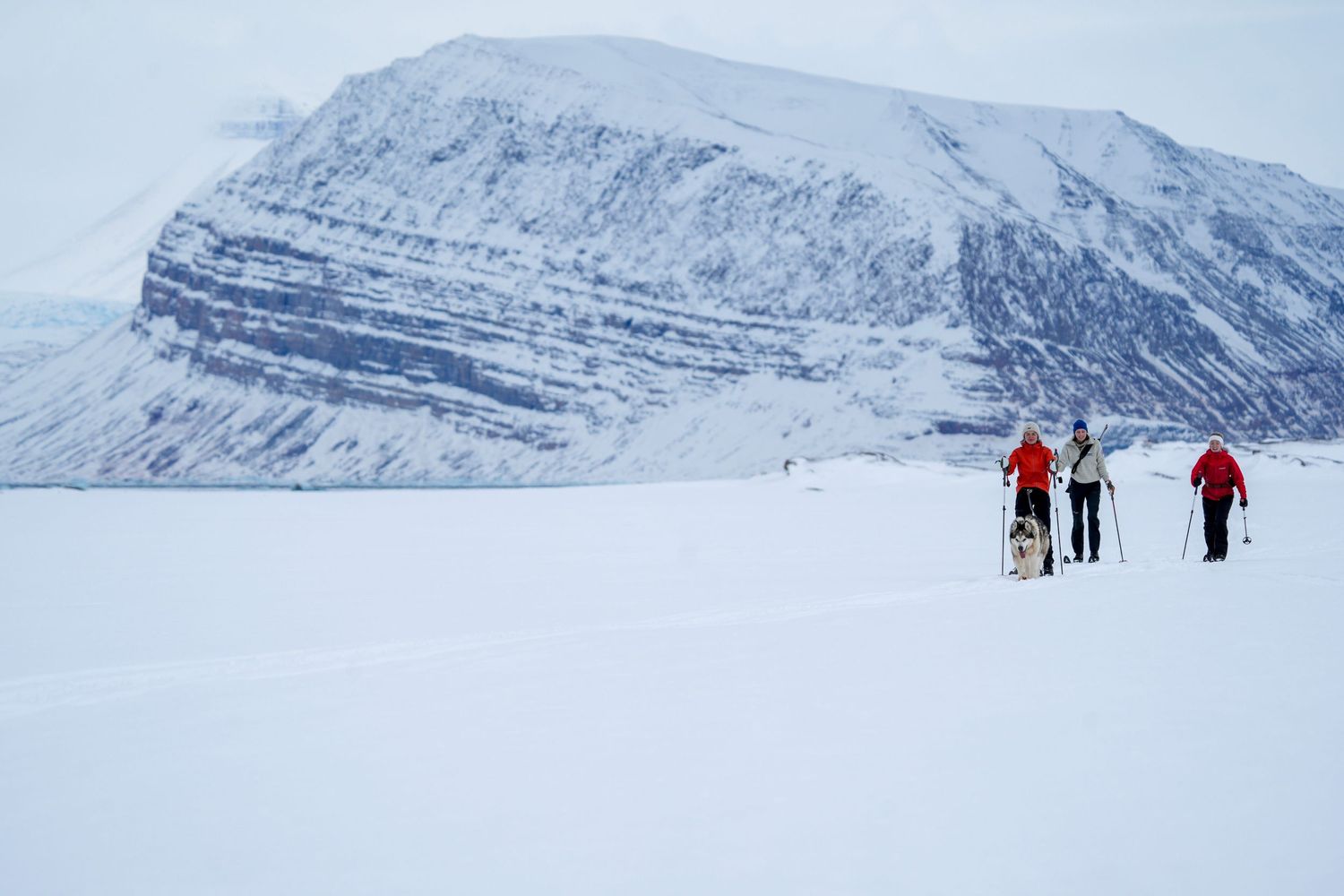 Kongsfjorden