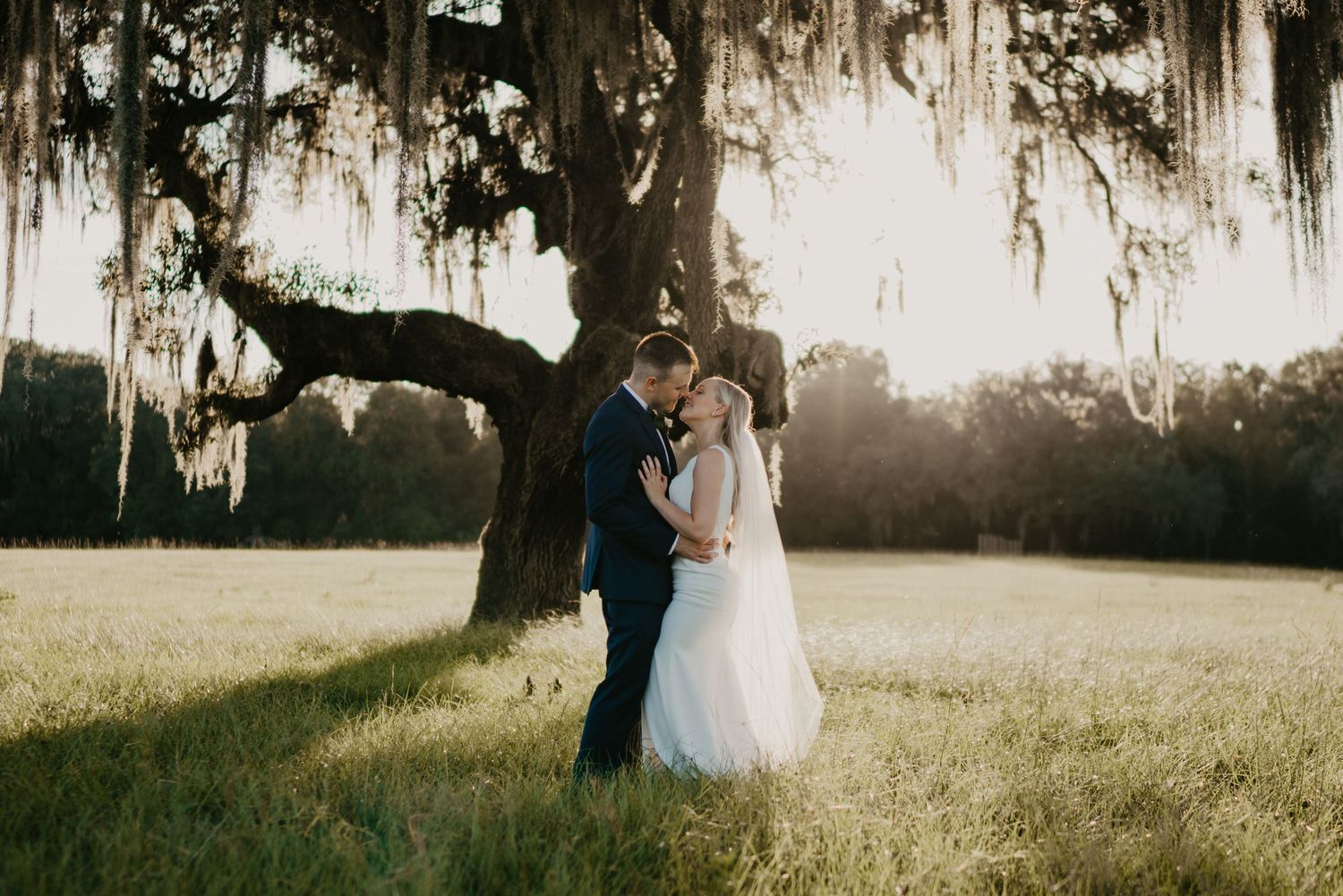 A couple shares a romantic moment under a Spanish moss draped oak tree at sunset in a dreamy meadow setting.