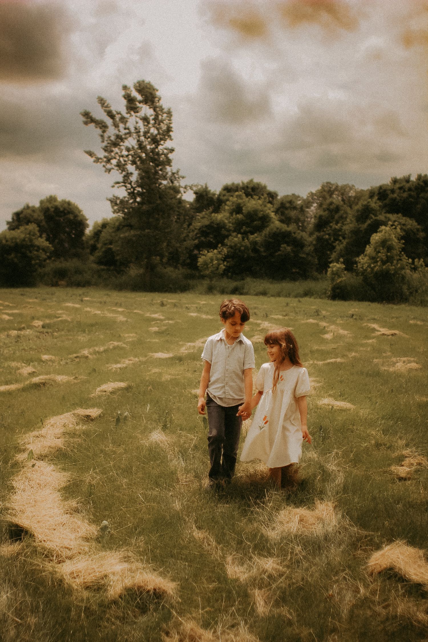 A warm brother and sister walking through field in Elk River, Minnesota Photographer Photography Wedding Couples Engagement Session Senior