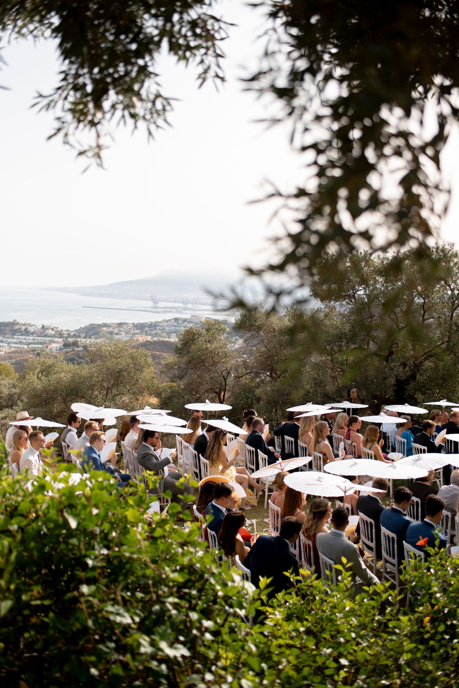 Wedding guests seated in rows under white parasols at an outdoor ceremony among olive trees, with a coastal view in the distance.