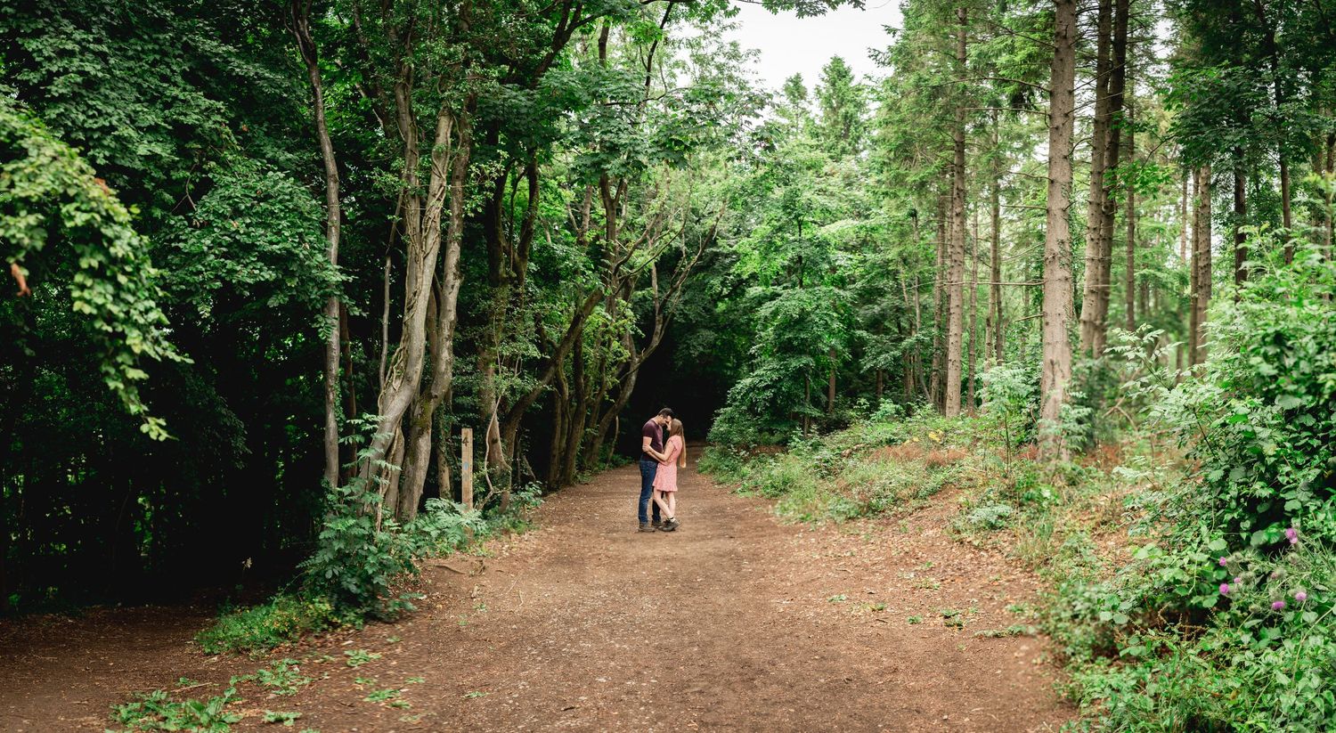 wide shot of couple in the middle of the woodland path in the distance, embracing and touching foreheads