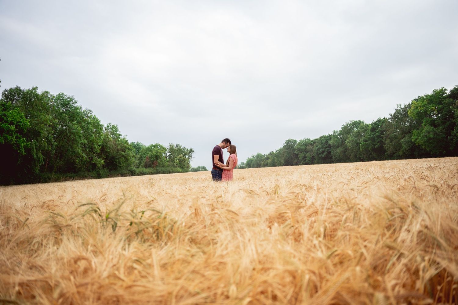 wide shot of couple embracing forehead to forehead in the middle of a golden wheat field