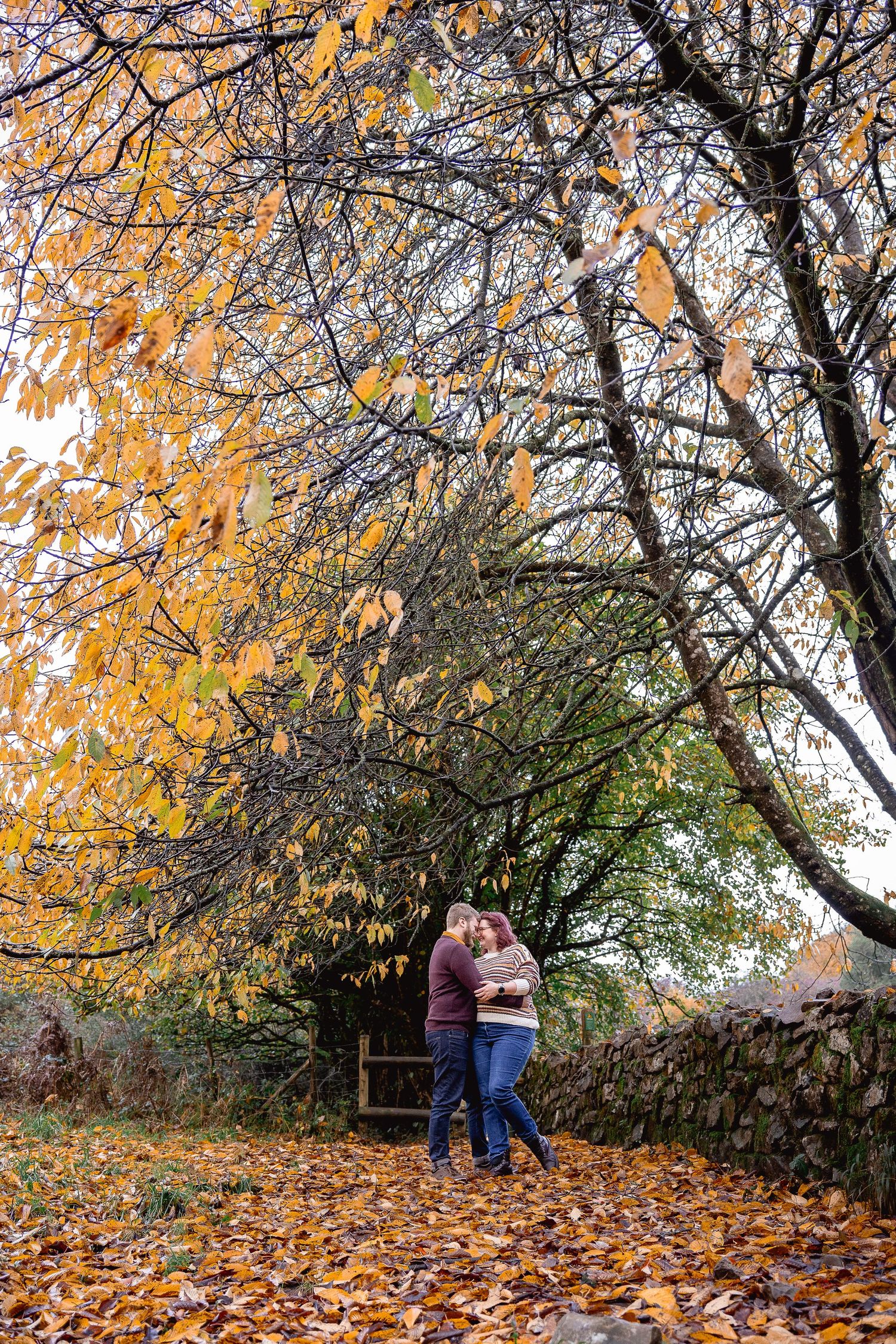 Couple embracing in the distance, yellow and orange autumn leaves cover the ground and trees tower above them
