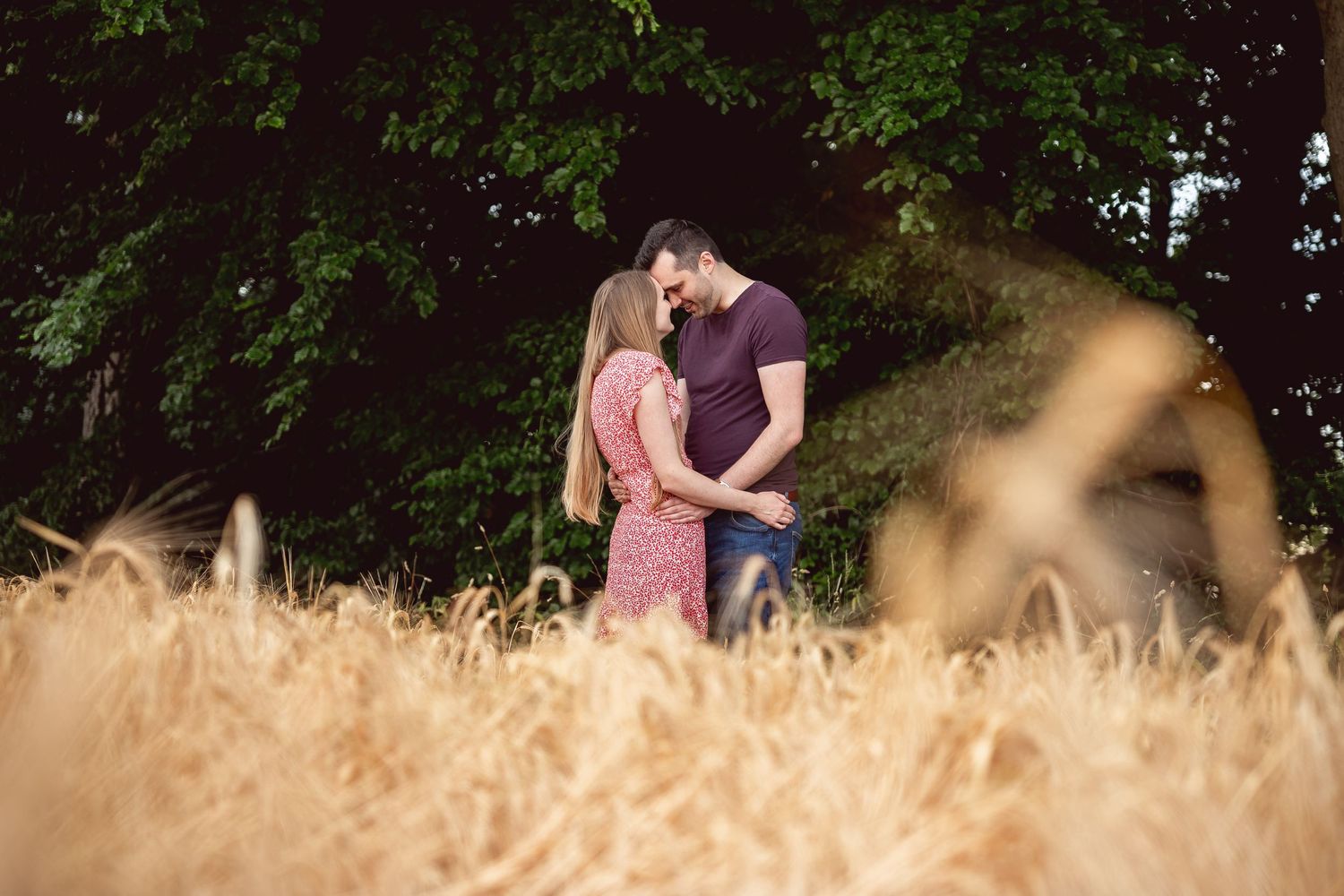 couple embracing forehead to forehead with gold wheat field in the foreground