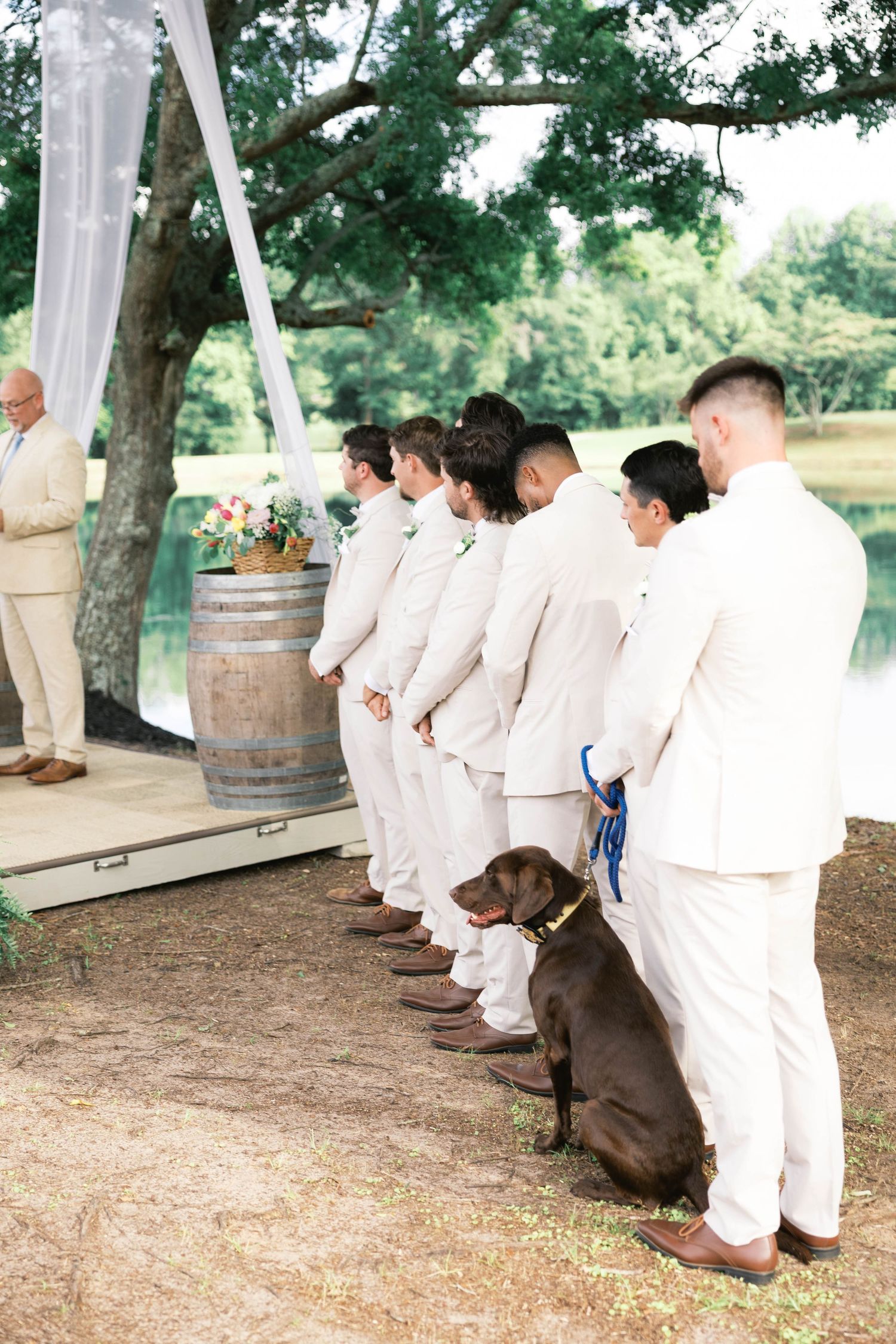 Groomsmen in white suits standing in a row with a chocolate lab dog at an outdoor wedding ceremony.
