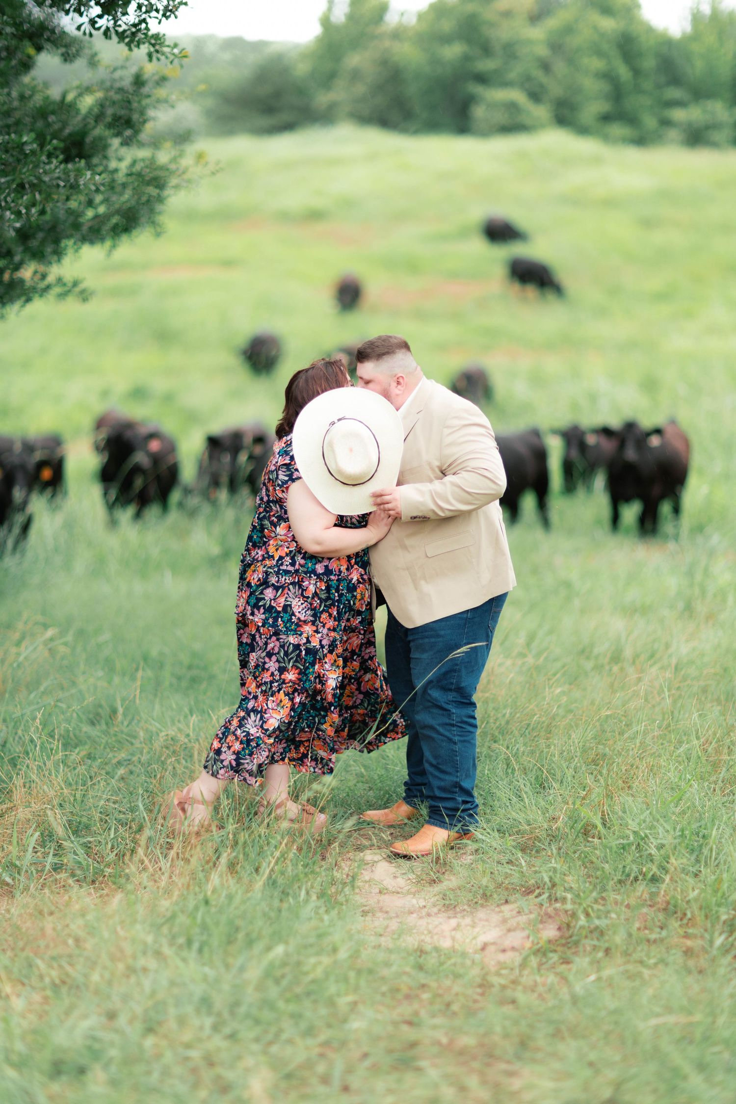 Couple embracing in a green field with black cattle grazing behind them, woman in floral dress, man in tan blazer holding hat.