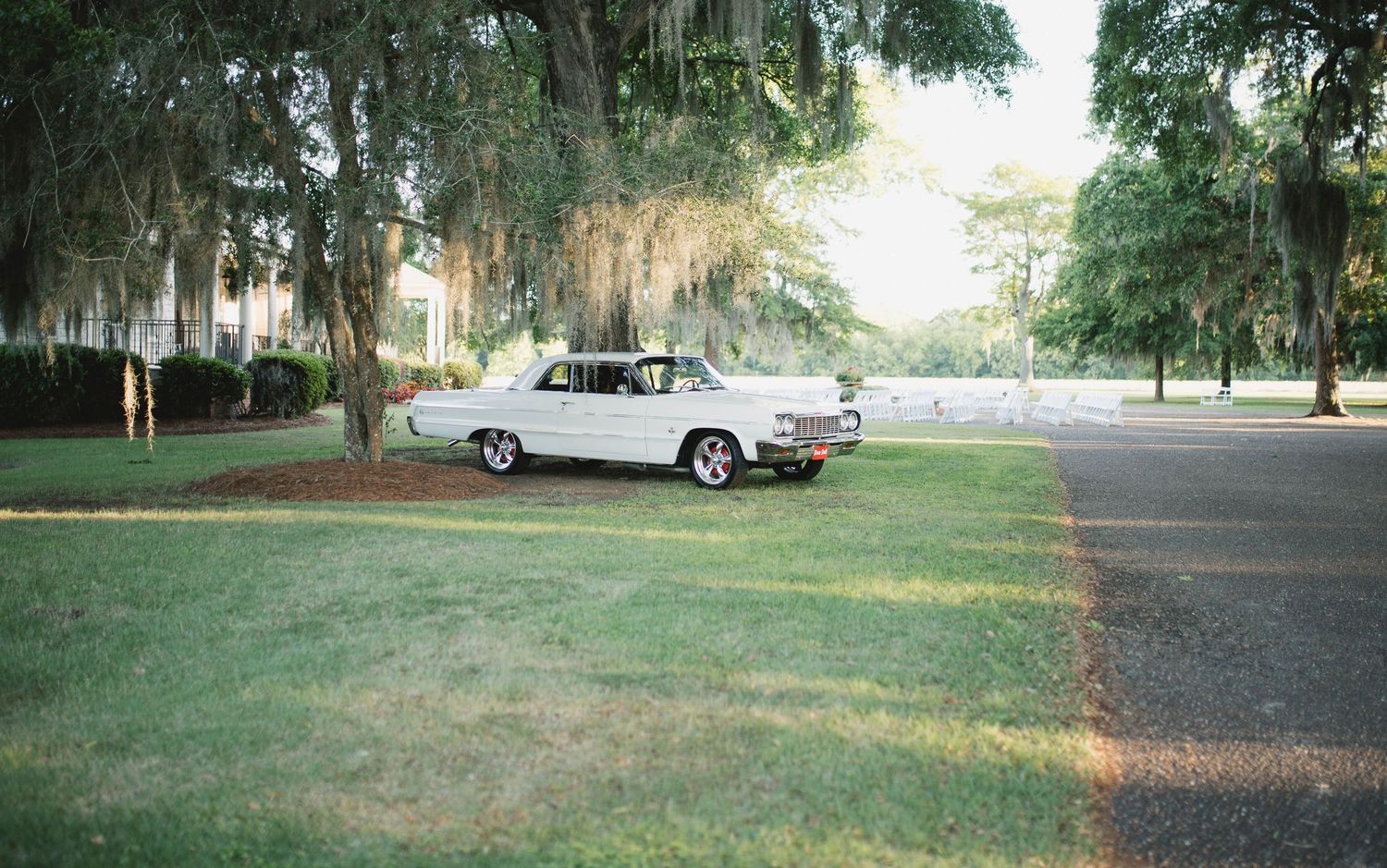 Vintage white classic car parked on lush green lawn beneath sprawling moss-draped oak trees in a scenic Southern setting.