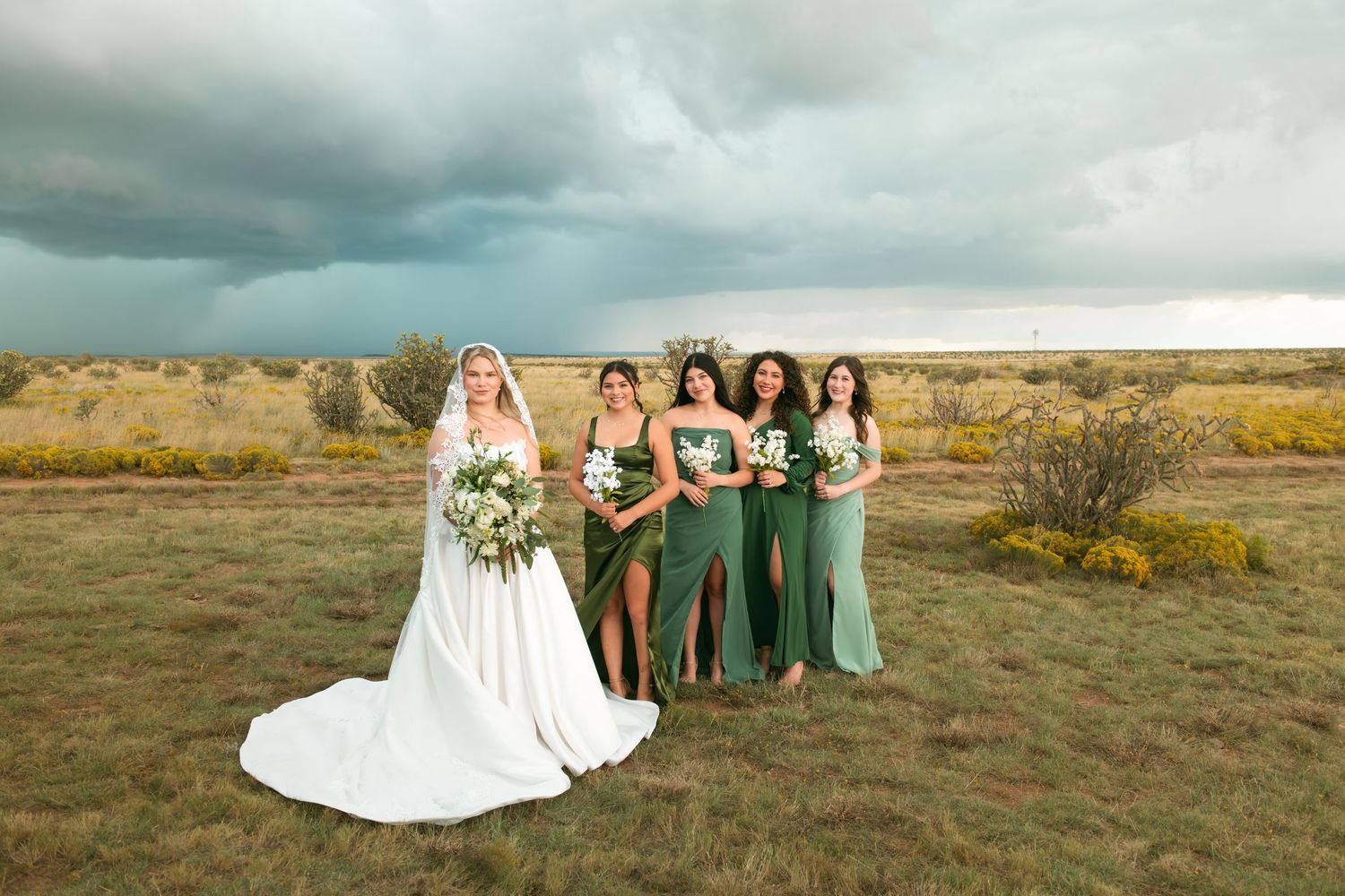 Bride in white gown with three bridesmaids in green dresses standing in a field under a dramatic stormy sky.