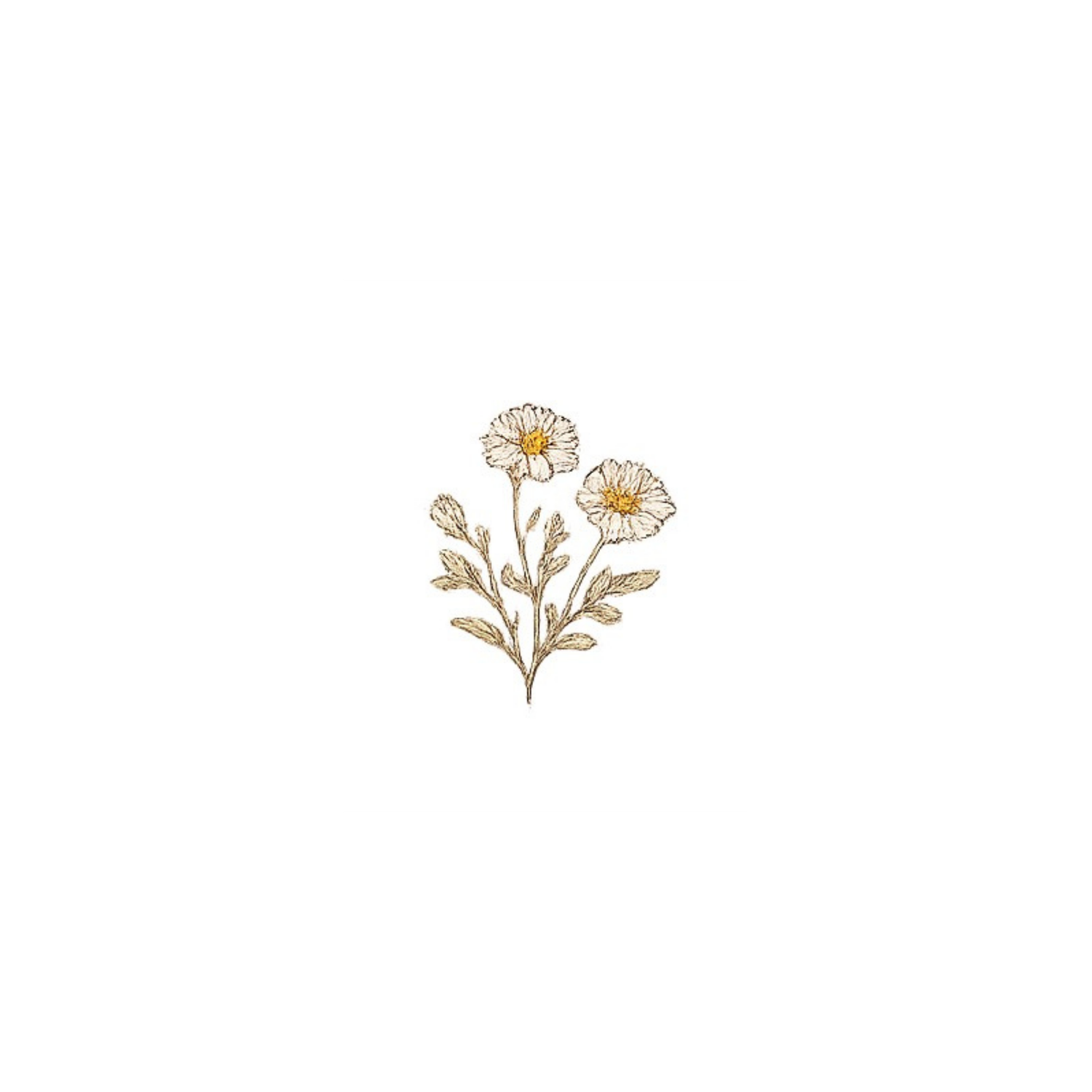 Delicate embroidered daisy bouquet with golden stems and white blooms on white background.
