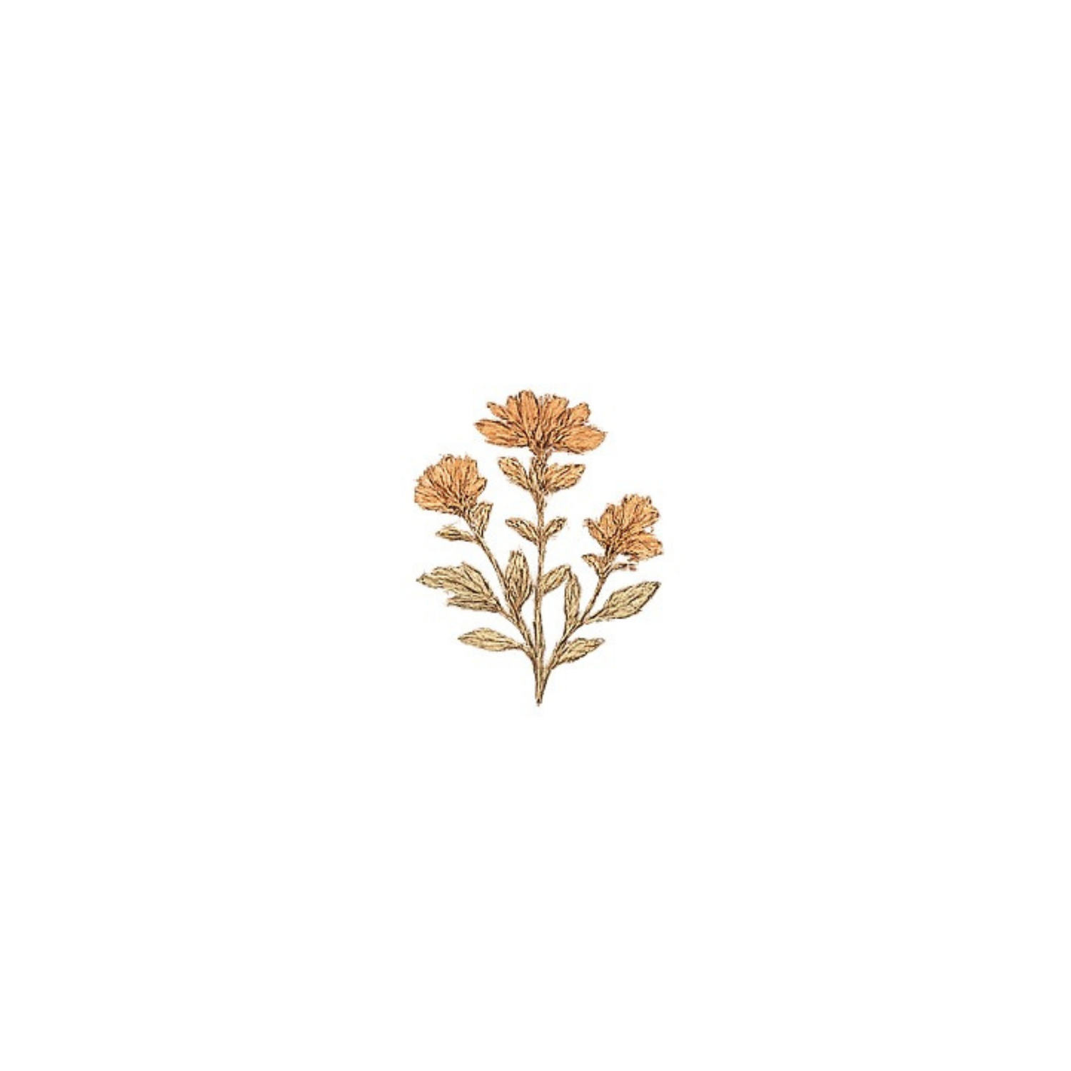 Delicate golden botanical illustration featuring three blooming flowers with leaves on a stem, in warm amber and gold tones.