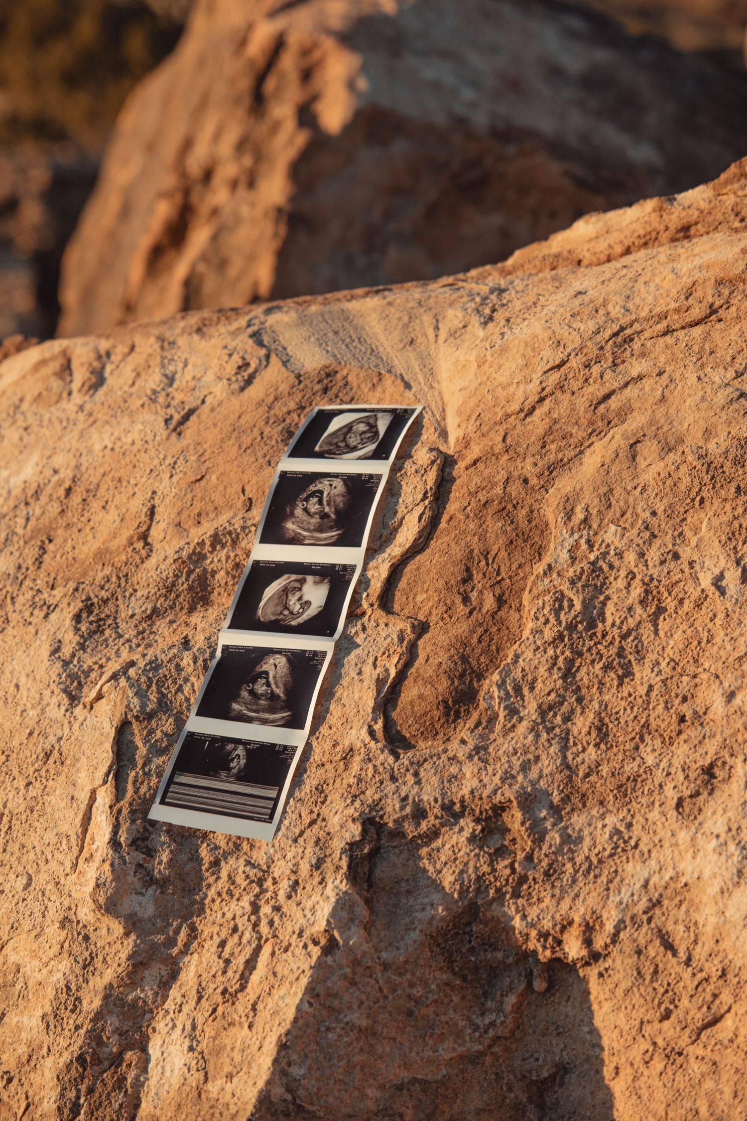 Ultrasound photos displayed on red rock surface in warm golden sunlight outdoors.