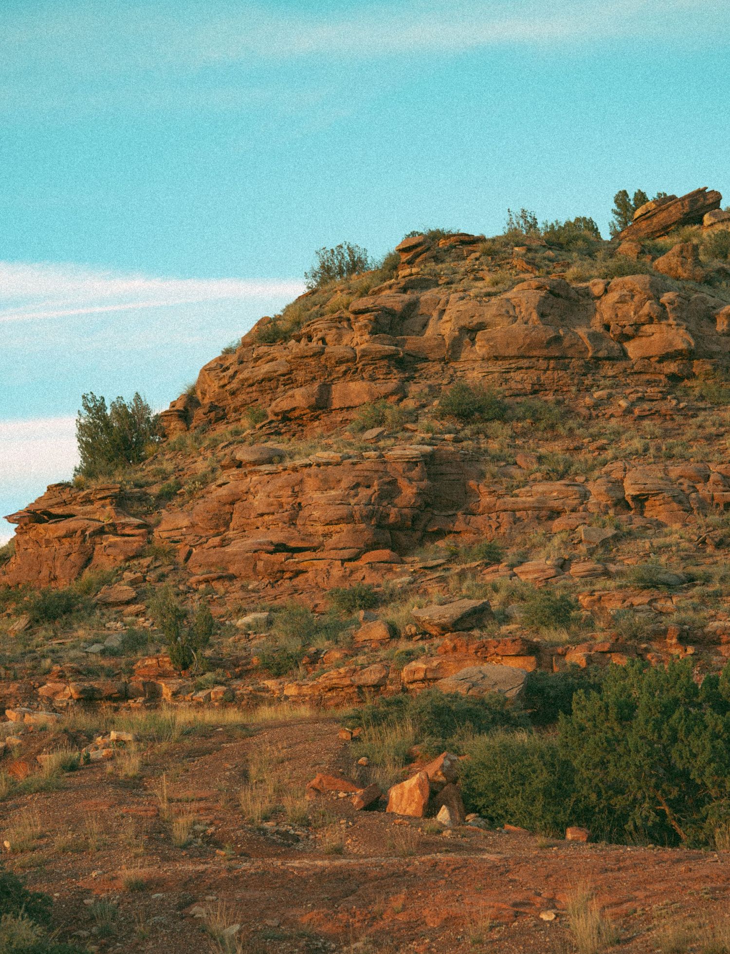 Red sandstone rocky hillside with sparse desert vegetation under blue sky in warm evening light.