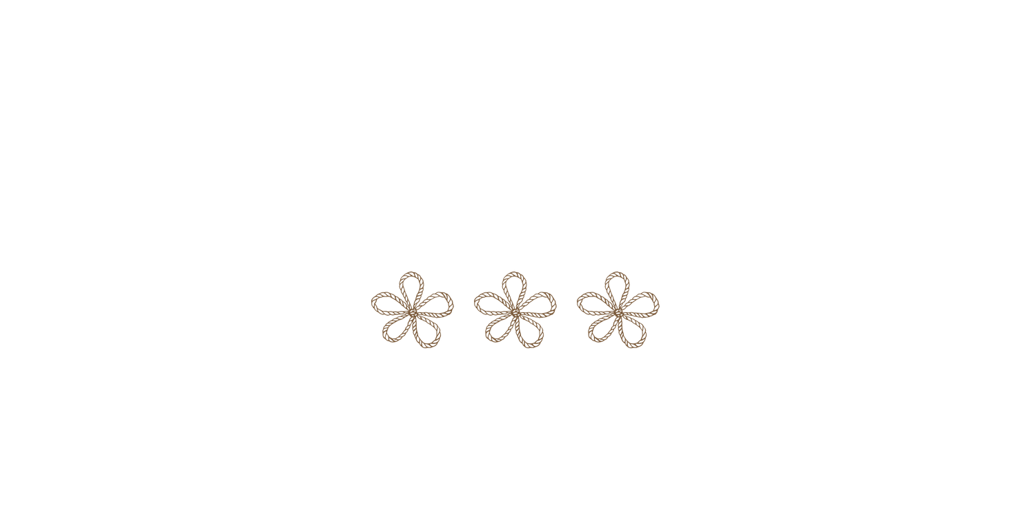 Three minimalist beige daisy flowers arranged in a row, drawn in a rope-style outline design.