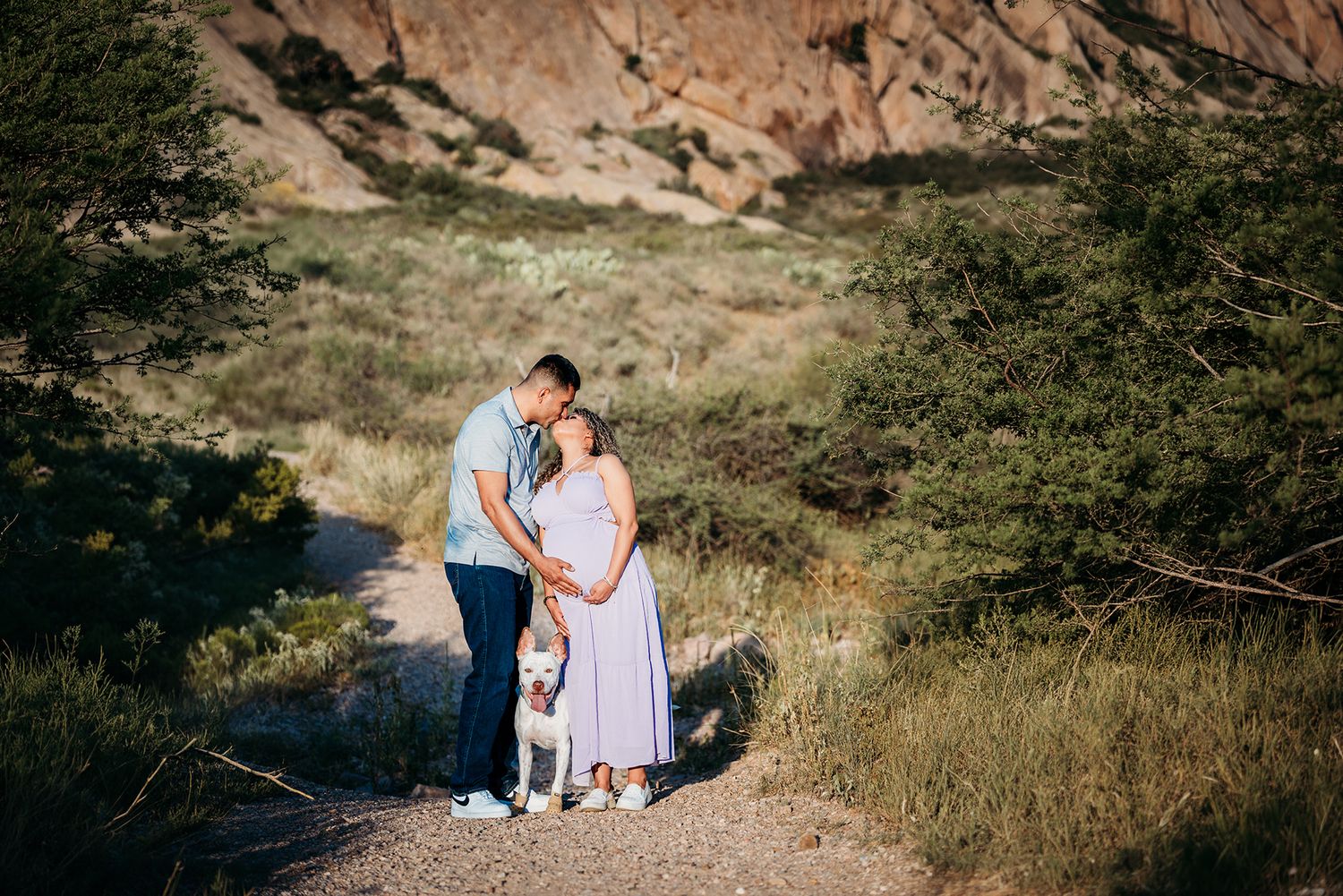 Couple kisses during maternity photoshoot with white dog on scenic desert trail.