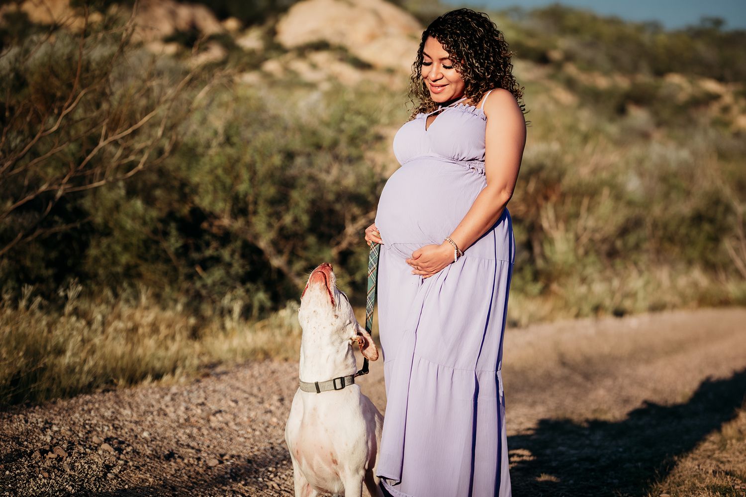 Smiling pregnant woman in purple maxi dress laughs with white dog on sunny desert path.