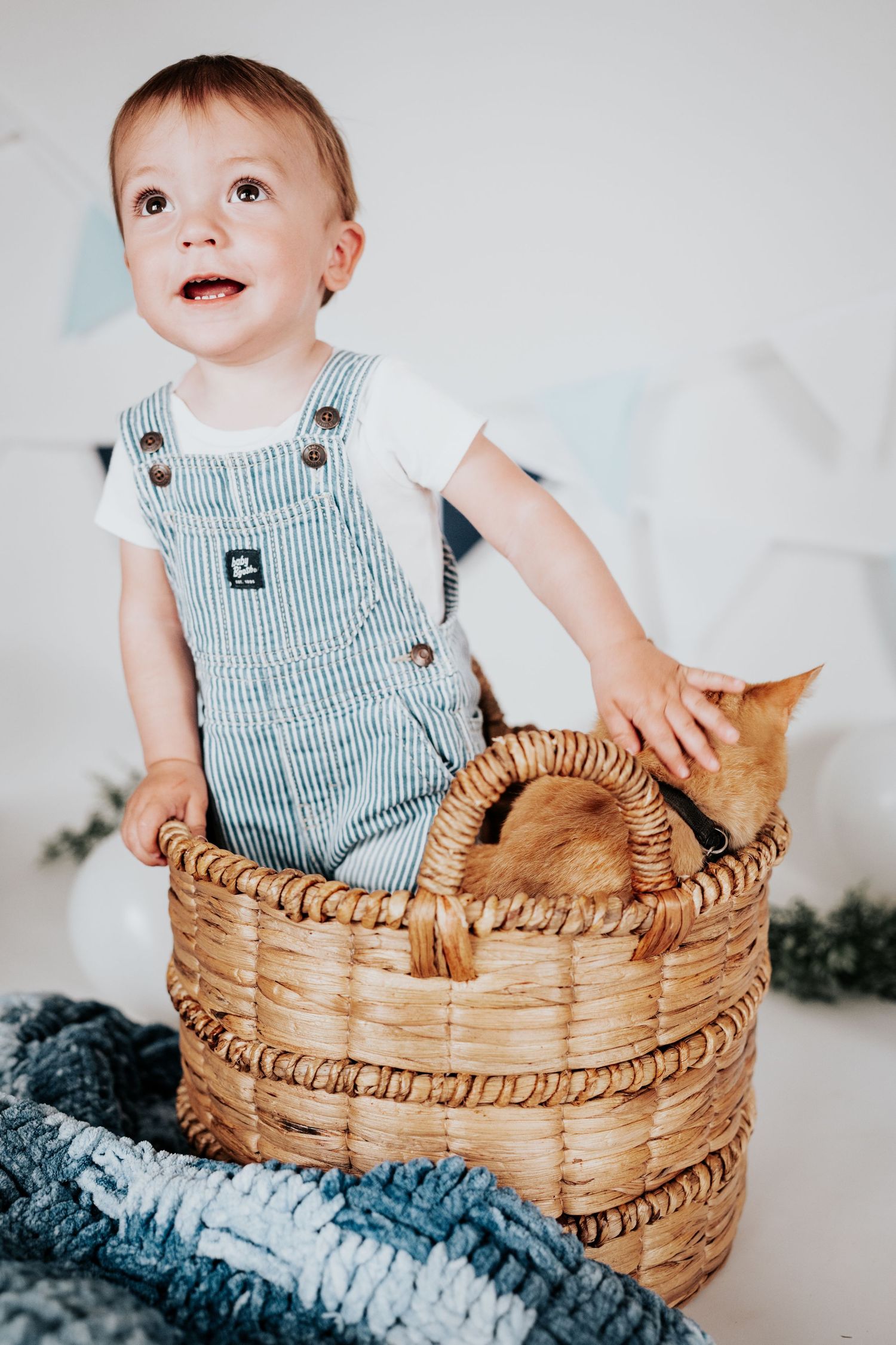 Adorable toddler boy in striped overalls standing in a wicker basket with an orange kitten at his birthday.