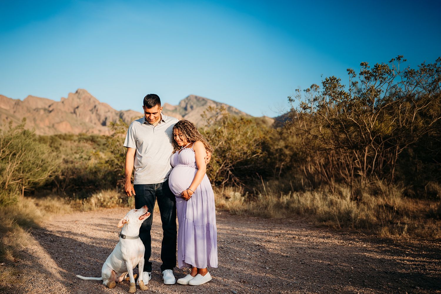 Man and pregnant woman in purple dress looking down at white dog on a sunlit desert trail.