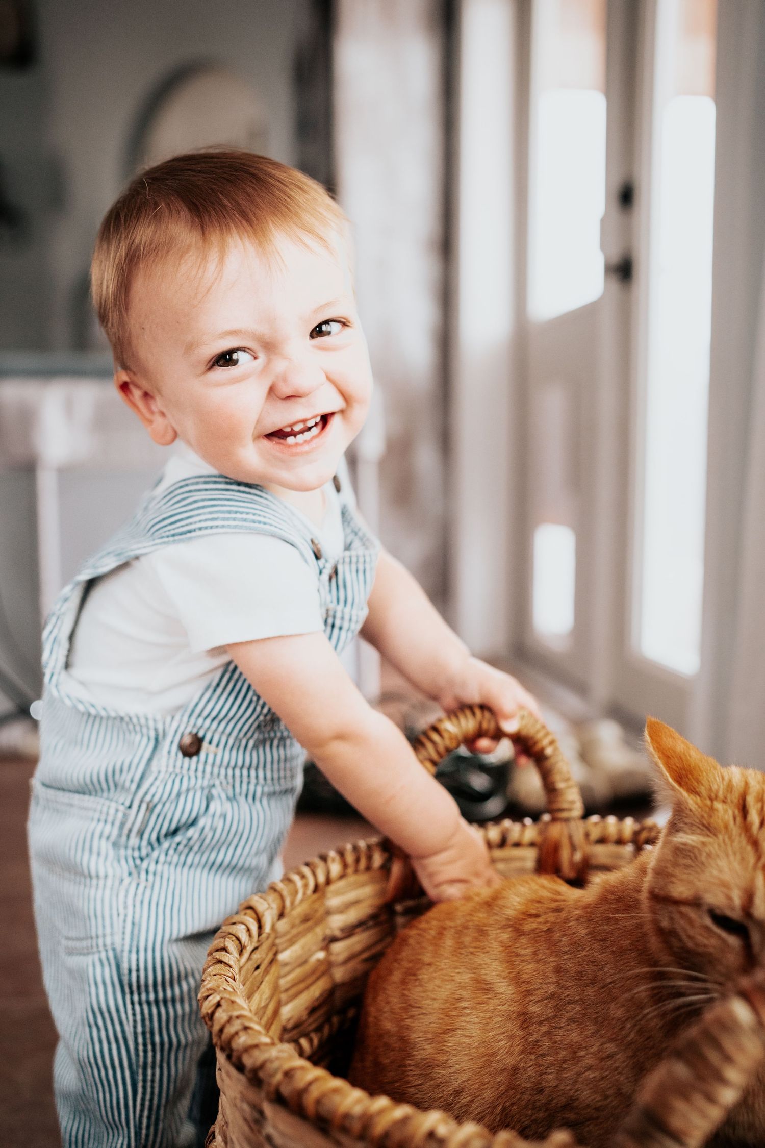 Smiling red-haired toddler in denim overalls happily petting an orange cat in a wicker basket.