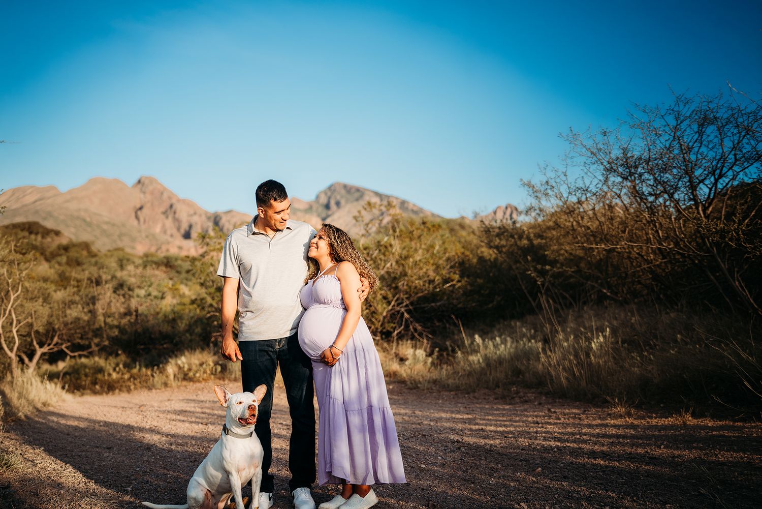 Pregnant woman in lavender dress with partner and white dog on a sunny desert path with mountains.