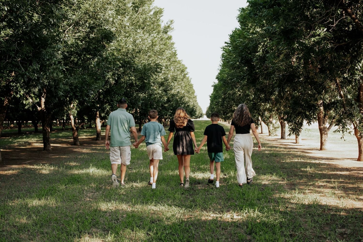 A family of five walks away from the camera through a tree-lined orchard path.