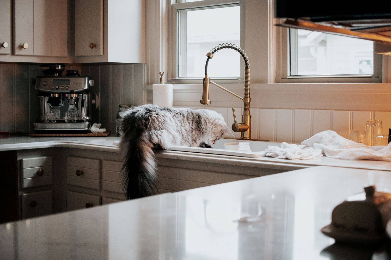 A fluffy cat peeks over the edge of a farmhouse kitchen sink with gold faucet.