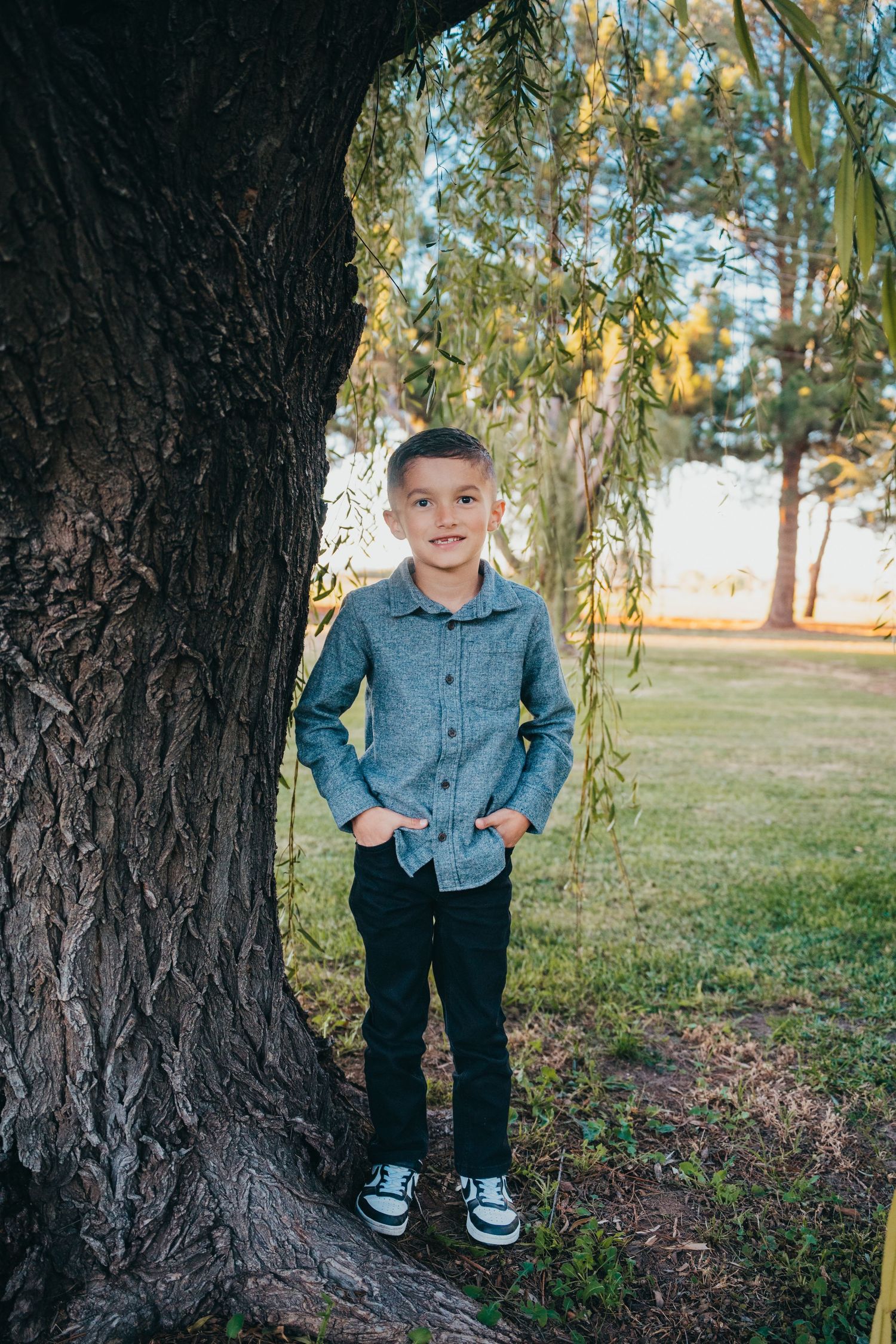 Young boy in gray button-up shirt and black pants standing beside a large tree in a sunny park.