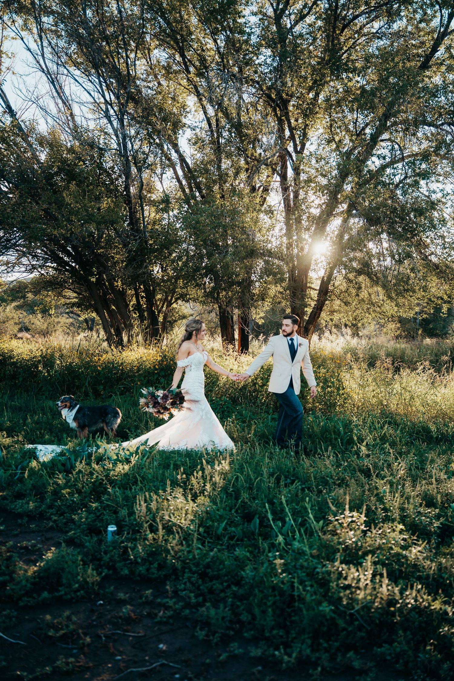 Bride and groom holding hands in sunlit forest meadow with dog nearby.