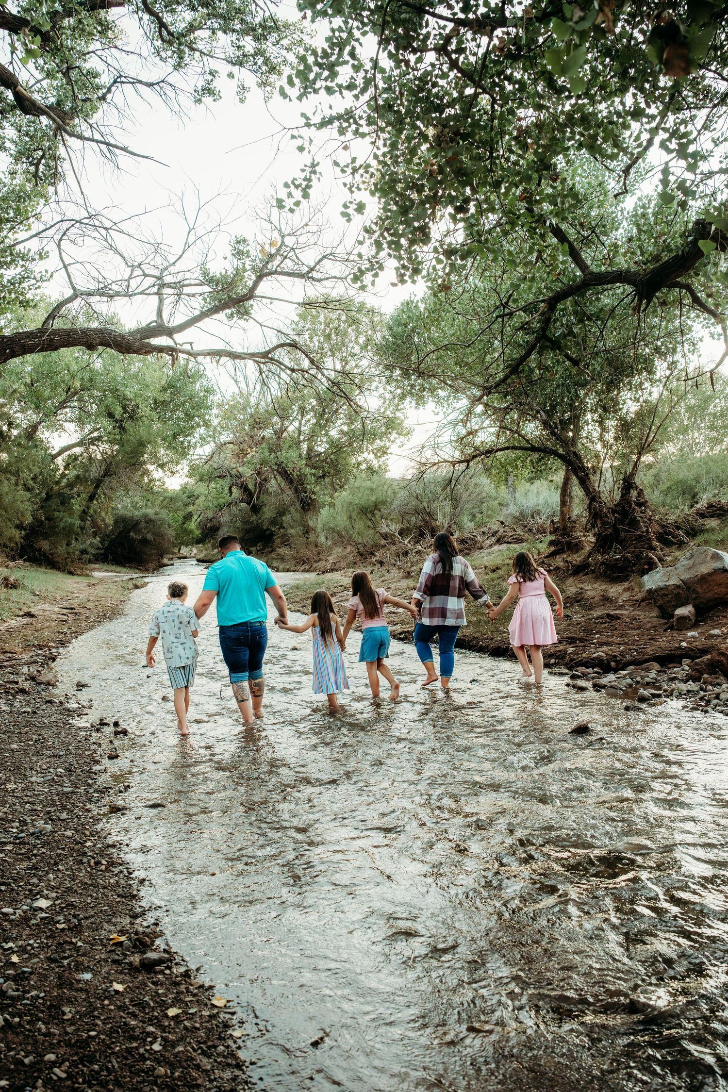Family of six walks hand-in-hand through a shallow creek surrounded by lush green trees.