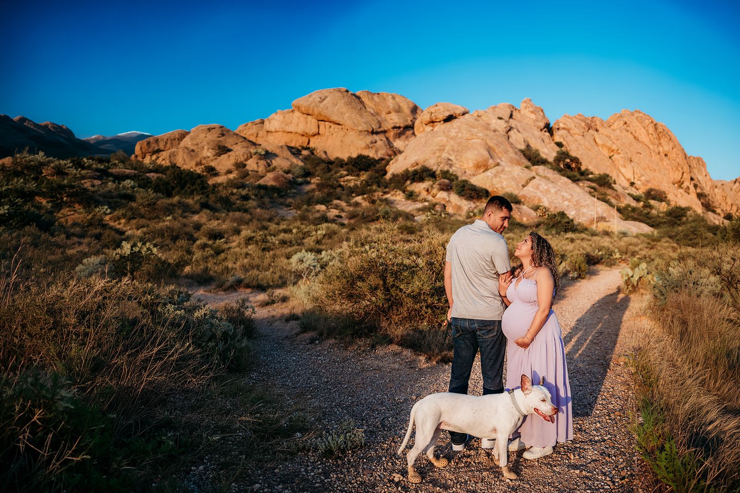 Expecting couple with white dog standing on a gravel path surrounded by golden desert rock formations.
