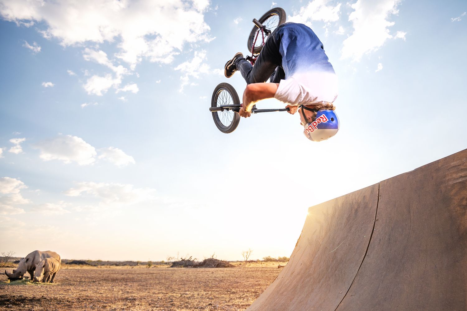 BMX rider performing an aerial trick on a skate ramp at sunset with a rhino visible in the background.