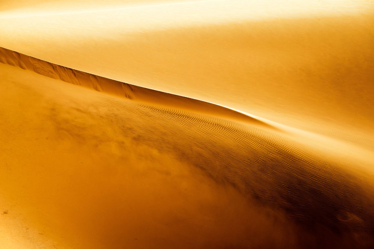 Golden sand dune with rippled texture glowing in warm sunlight, creating abstract desert landscape patterns.