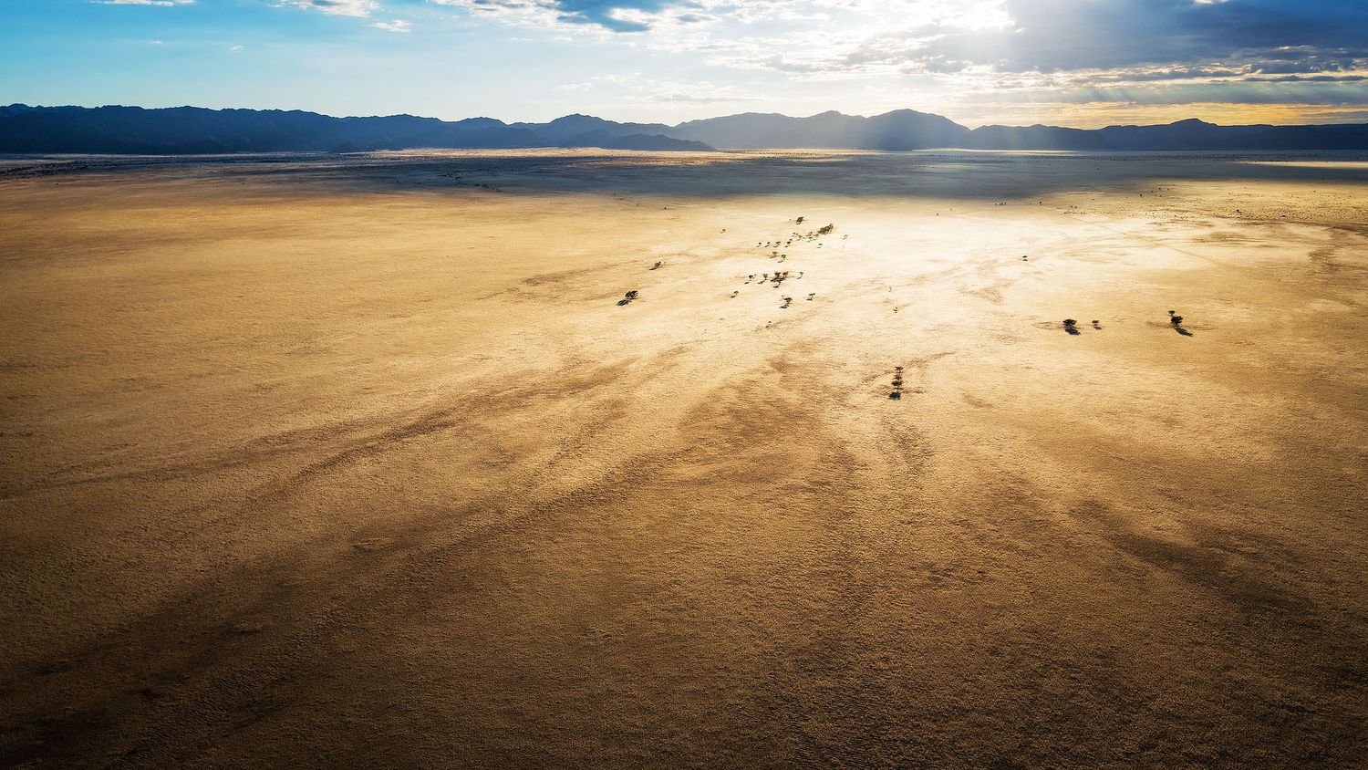 Aerial view of a vast golden desert landscape with scattered figures casting long shadows under a dramatic sunlit sky.