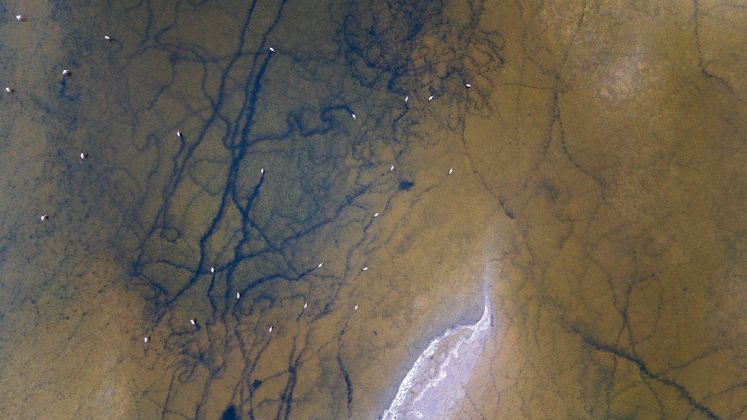 Aerial satellite view of river delta branching patterns across arid terrain with brown and tan earth tones.