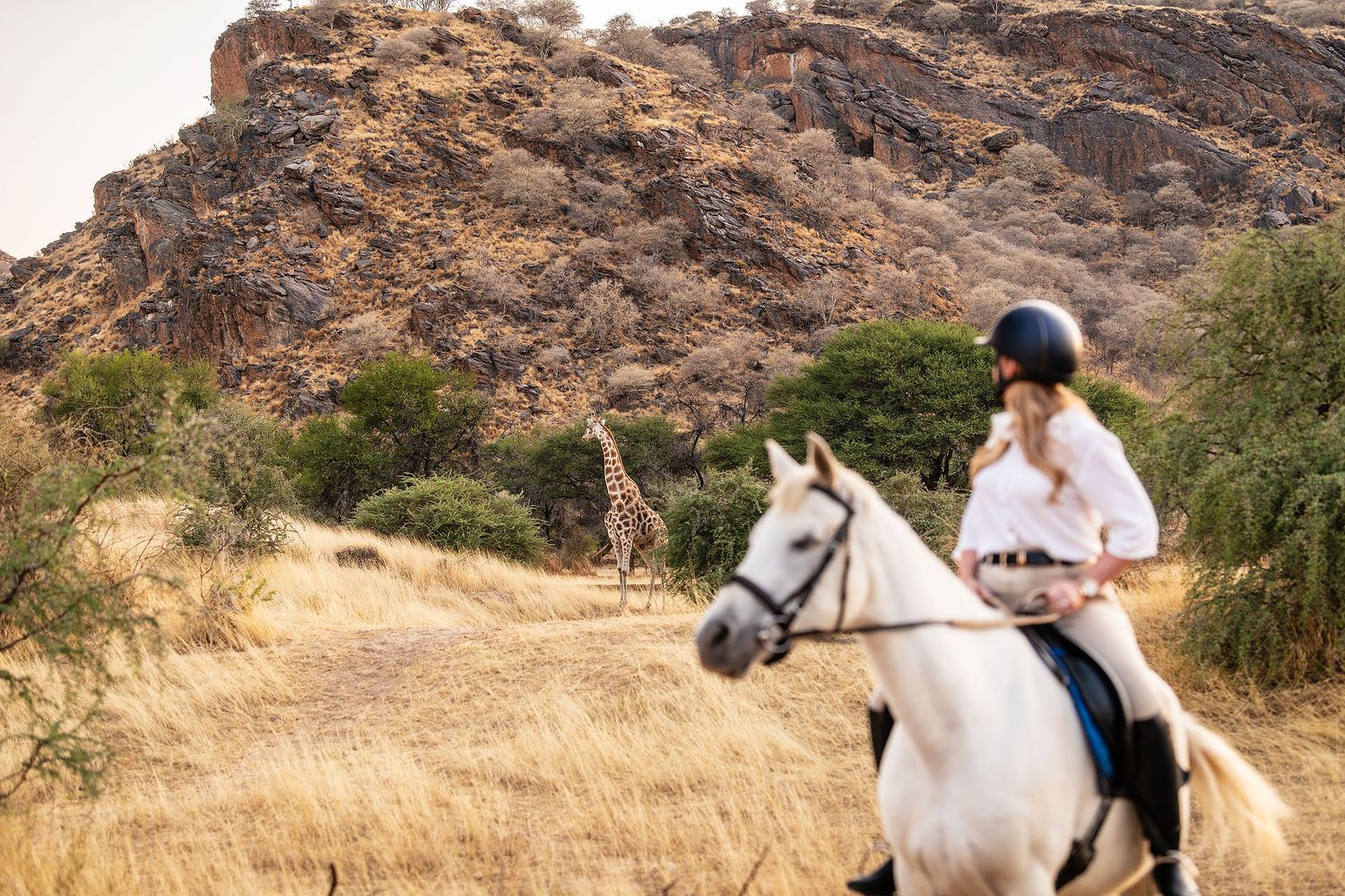 Woman riding a white horse through African savanna with a giraffe visible among trees and rocky hills in background.
