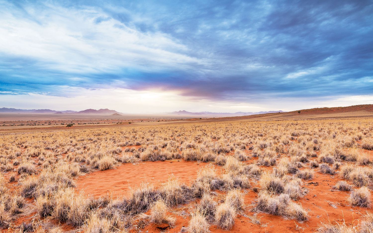 Vast Namibian desert landscape with sparse dry grass, red sand, and dramatic cloudy sky over distant mountains.