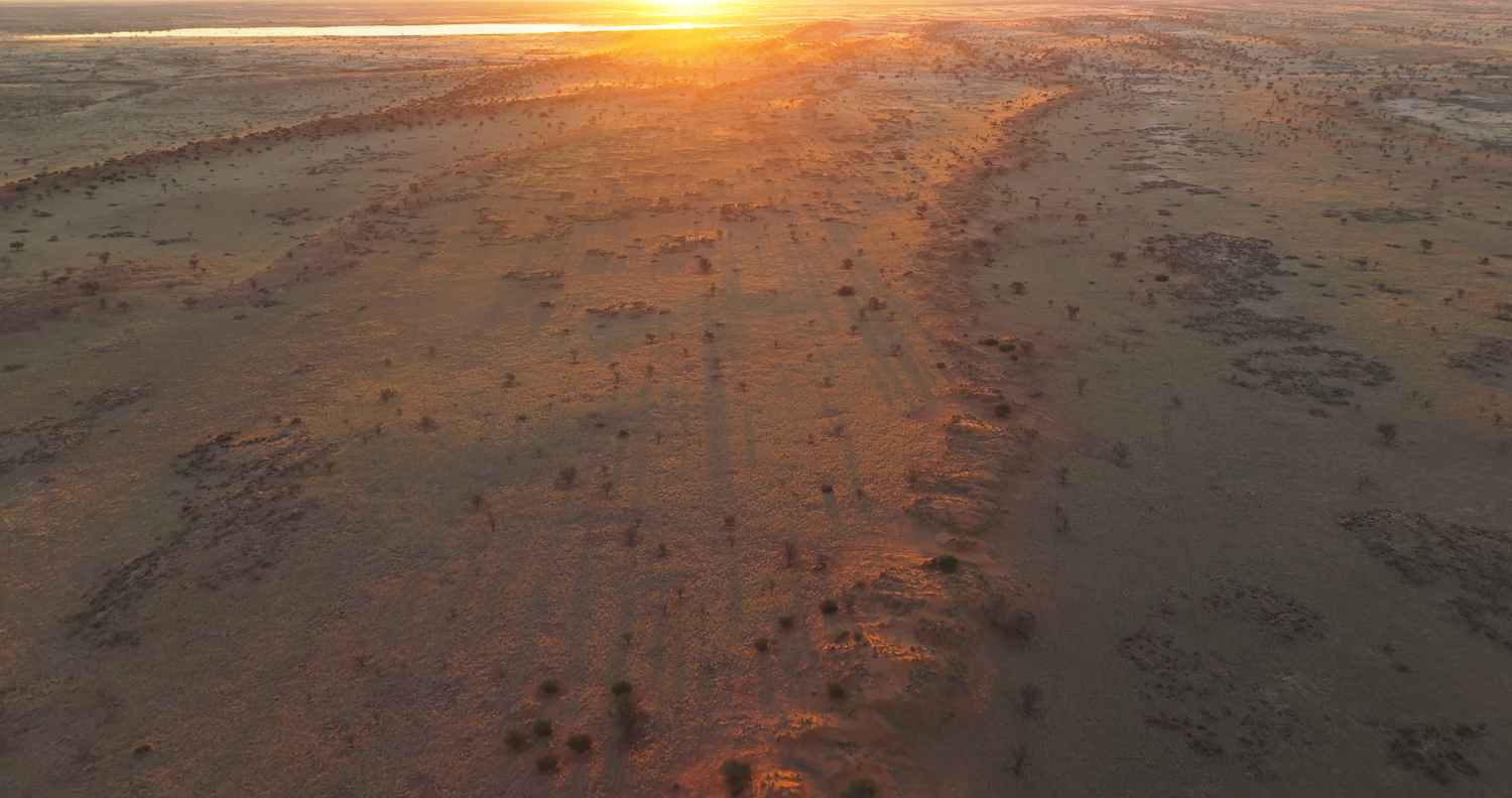 Aerial view of vast desert landscape bathed in golden sunset light with sparse vegetation and sandy terrain.