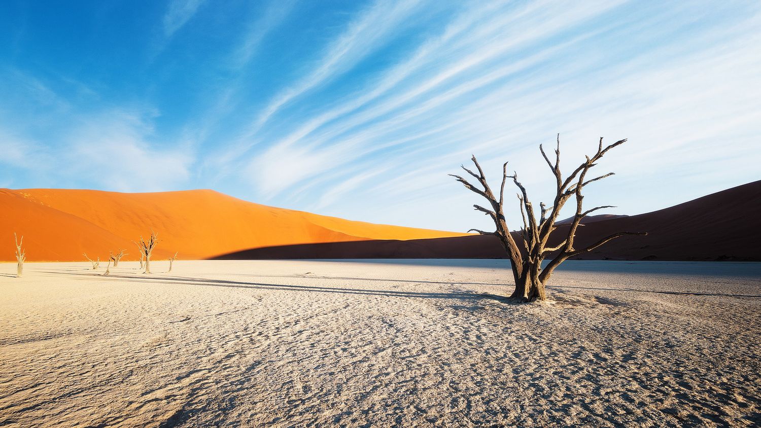 Dead tree stands in cracked white clay at Deadvlei, Namibia, with vivid orange sand dunes and blue sky behind.